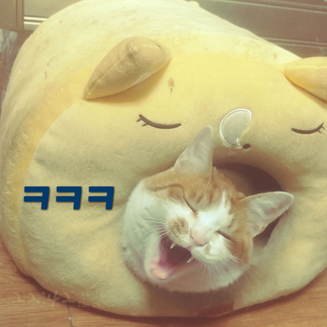 돌아보며깨닫기영성심리상담