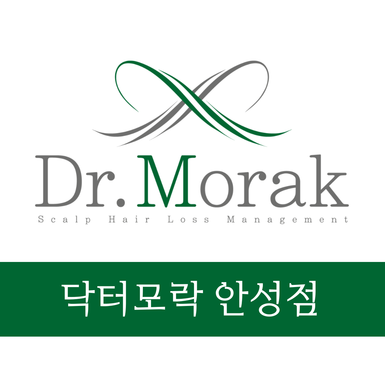 닥터모락 안성점