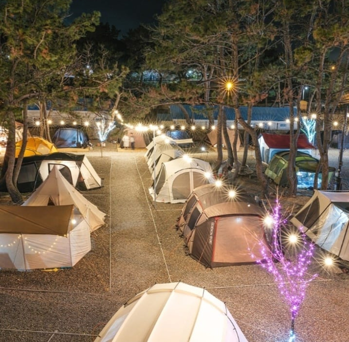 주전패밀리캠핑장