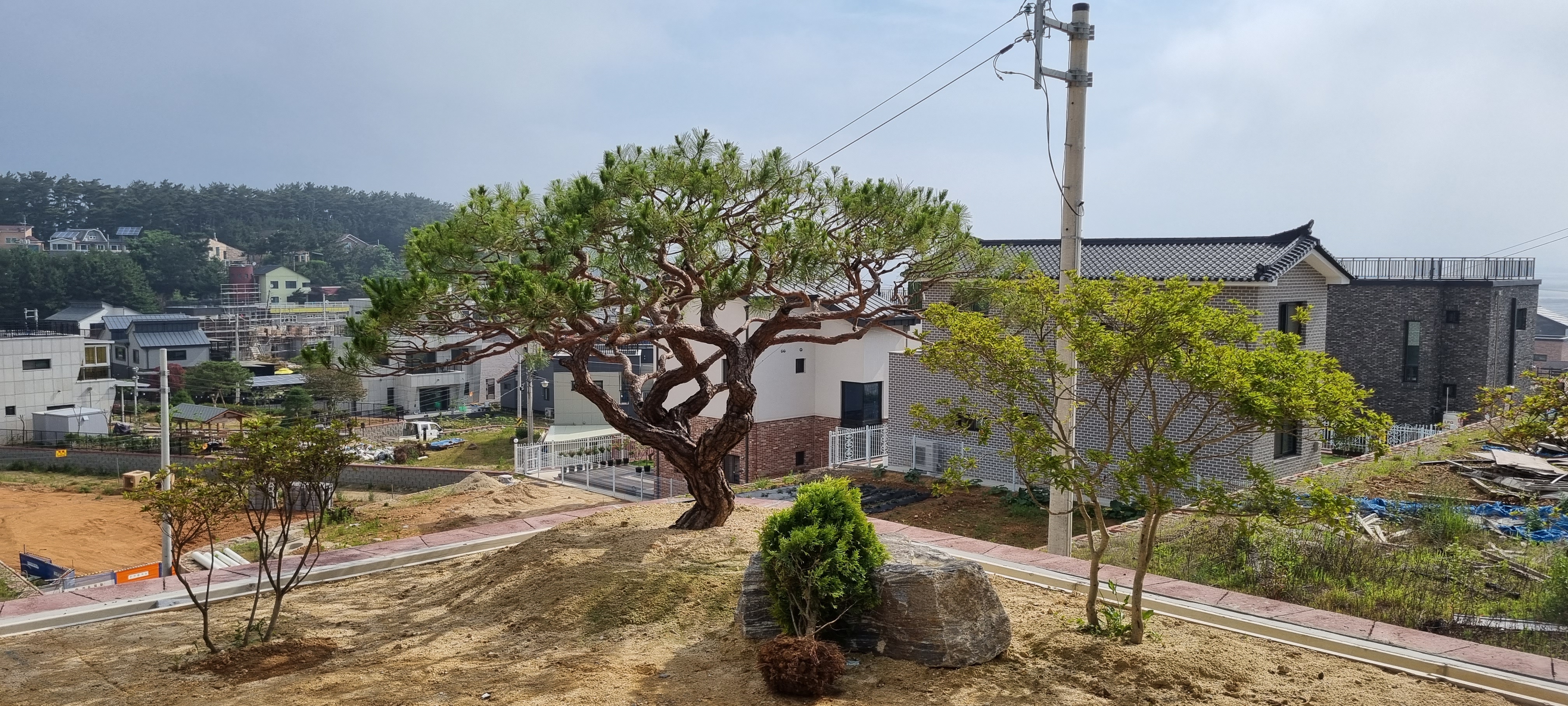 이한조경
