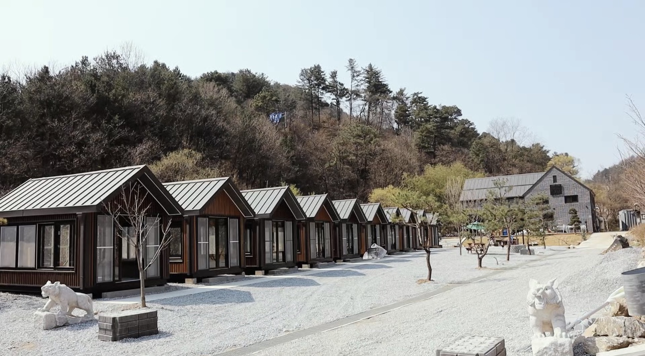 숙성21 대표 이미지
