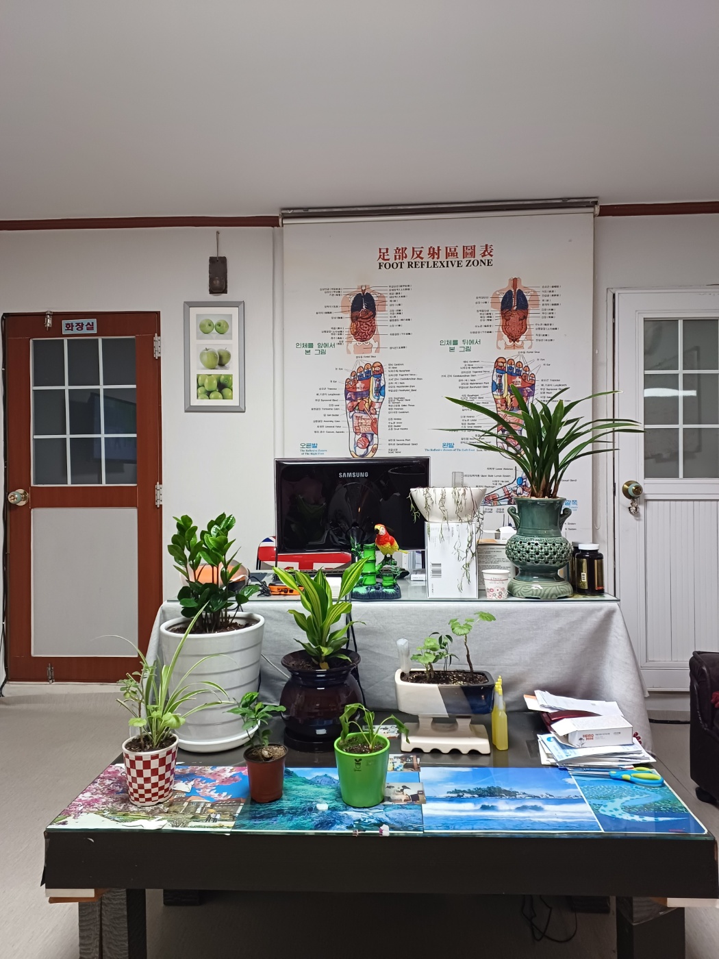 약손마사지 photo 5