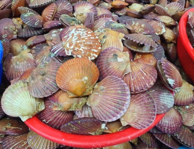 을지로연탄구이 본점
