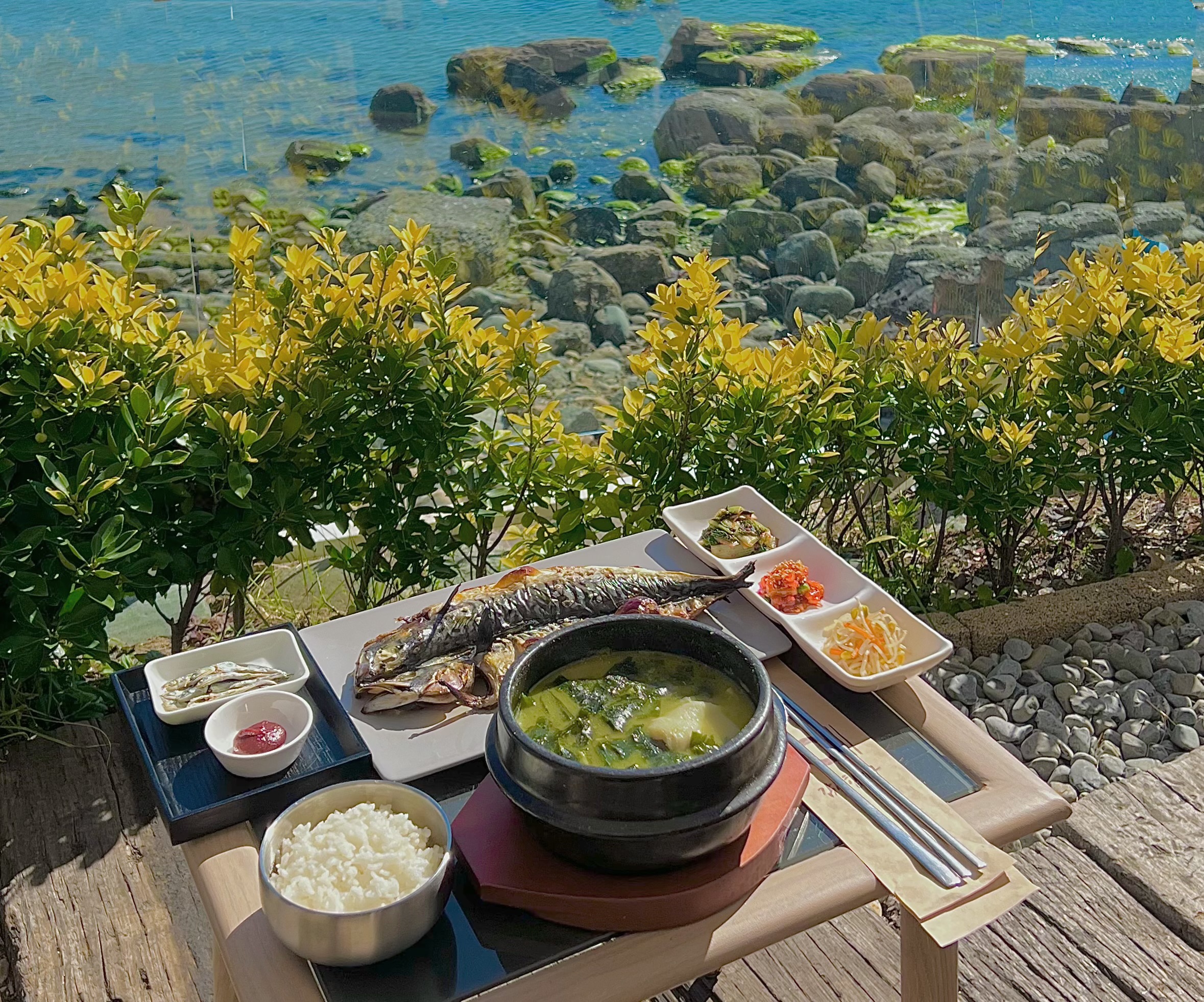 남해라운지32 카페 경상 애견맛집