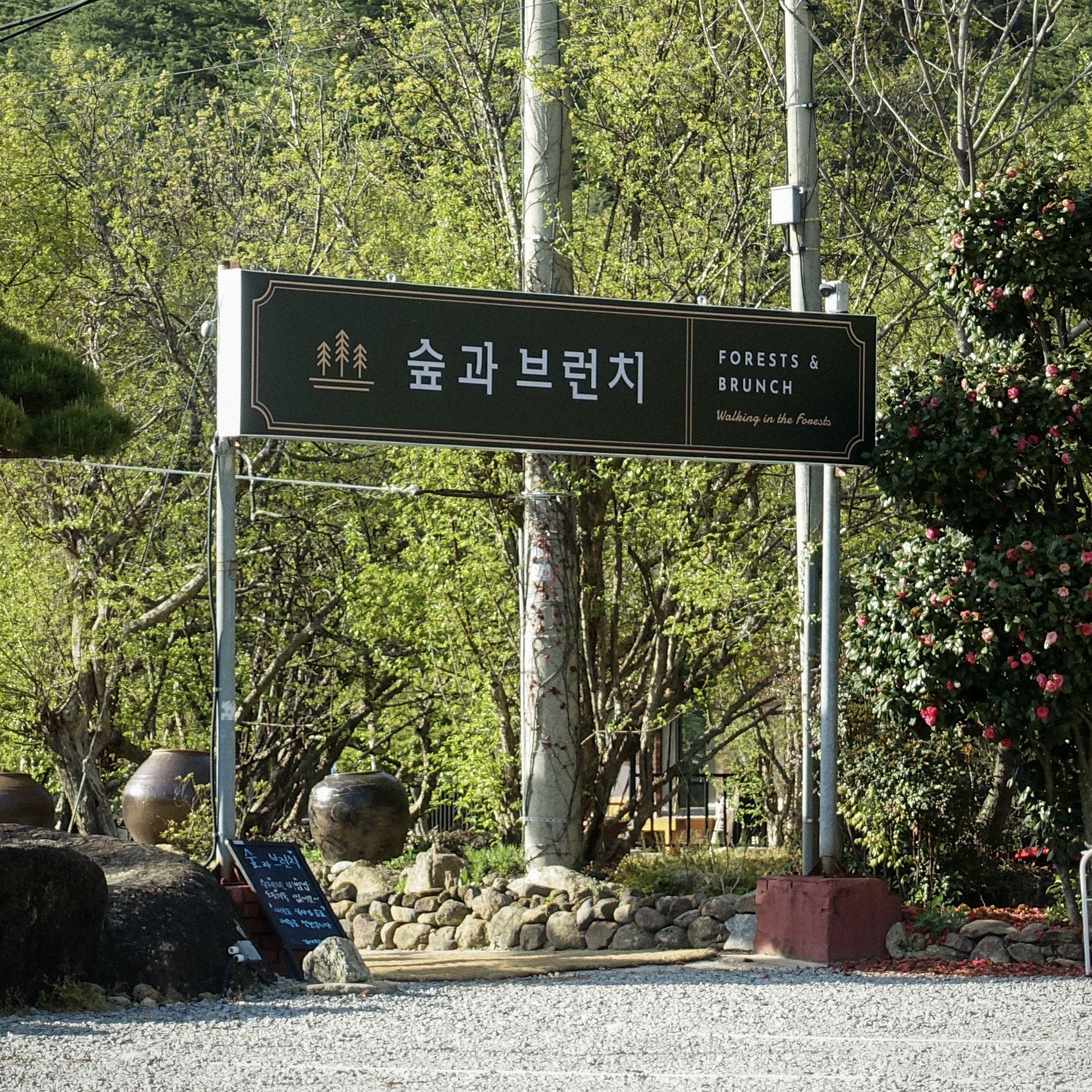 숲과브런치