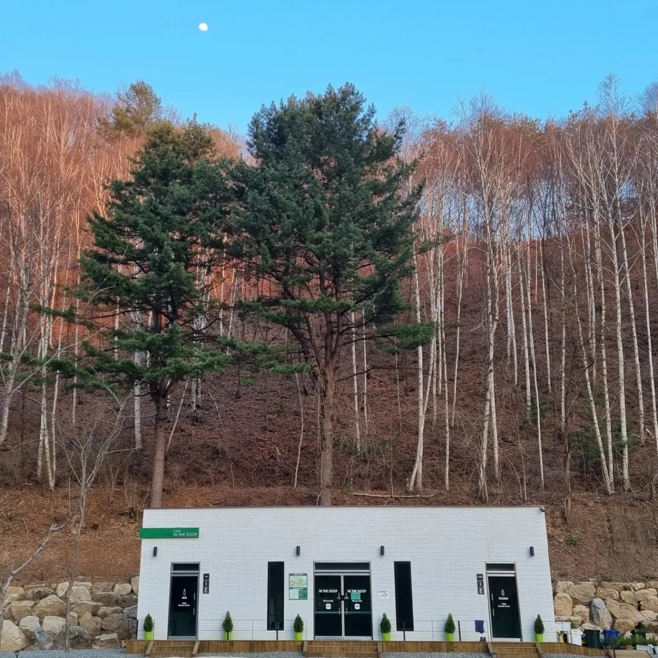 캠프인더숲