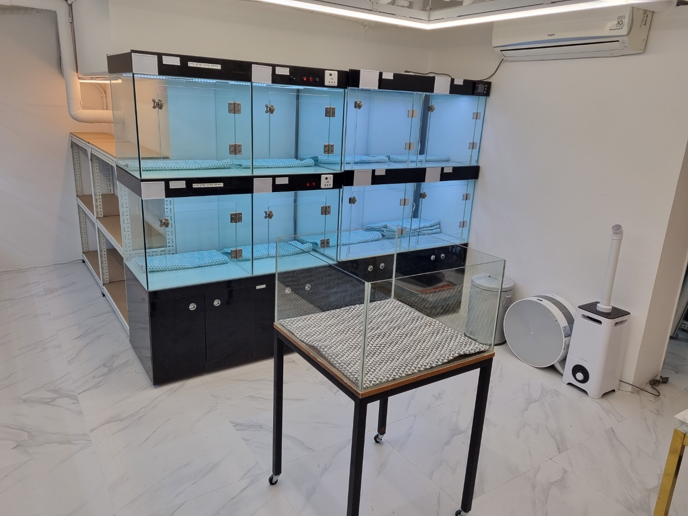 해피애견타운 대표 이미지