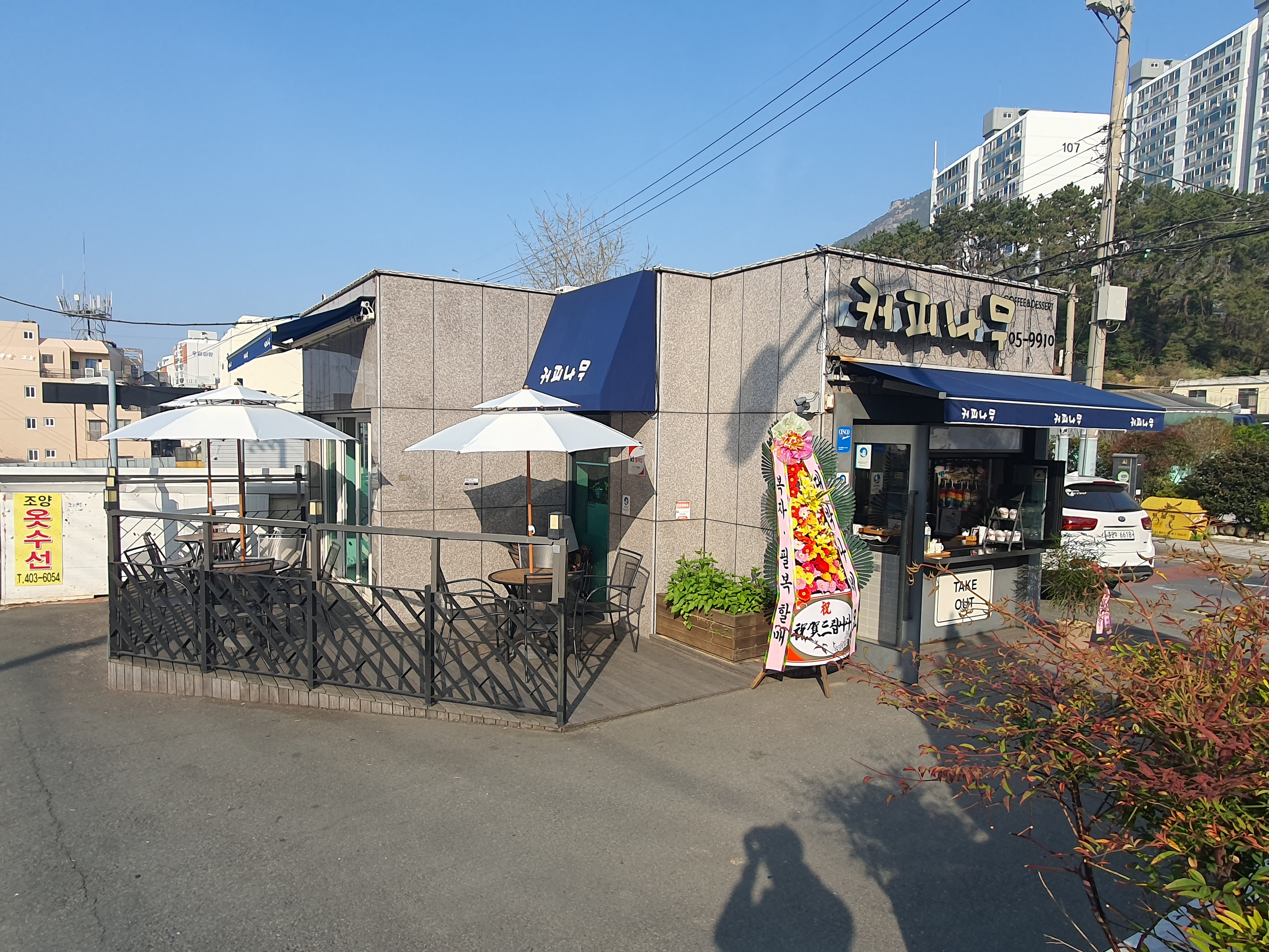 커피나무