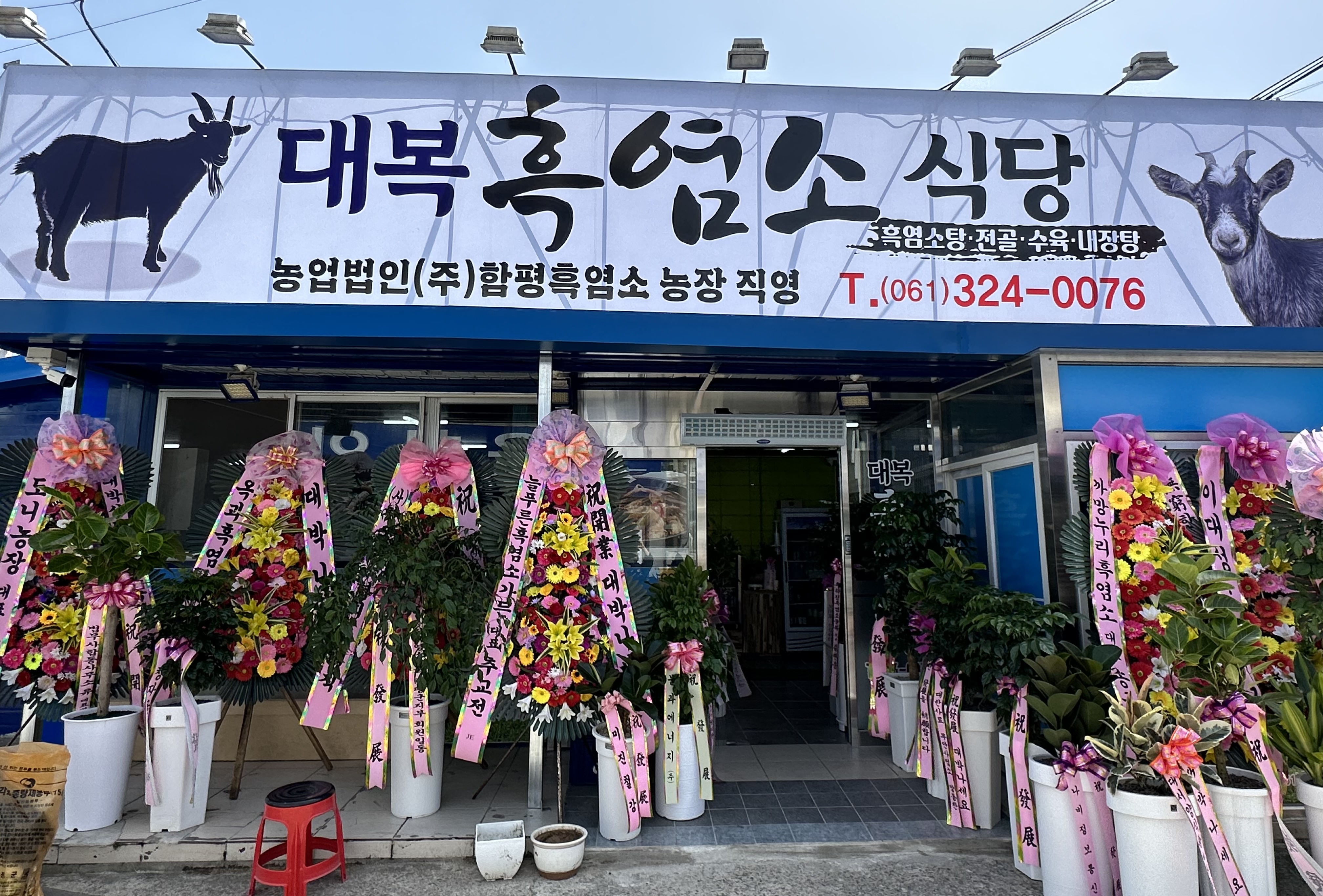 대복흑염소