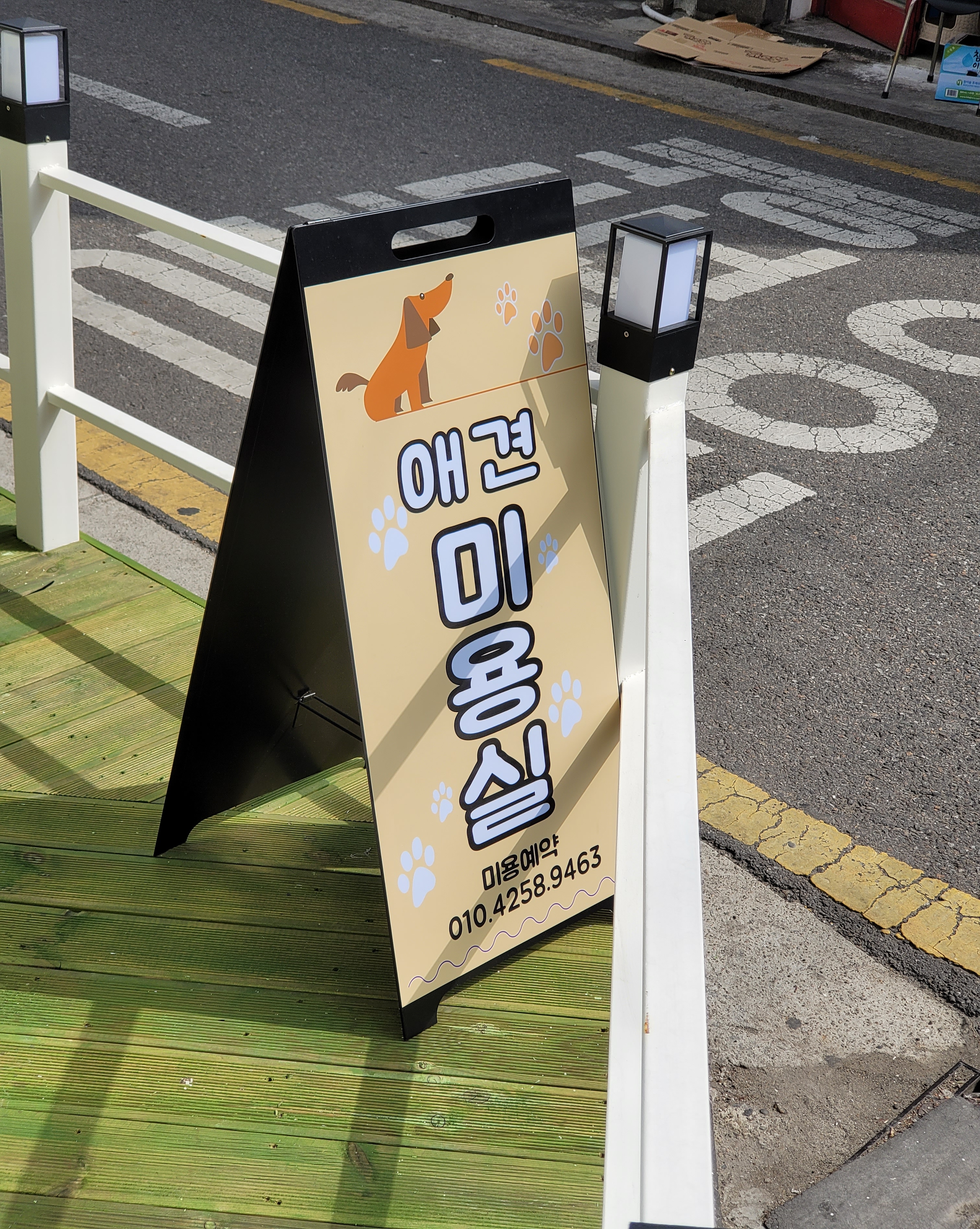 은평 애견미용실 대표 이미지