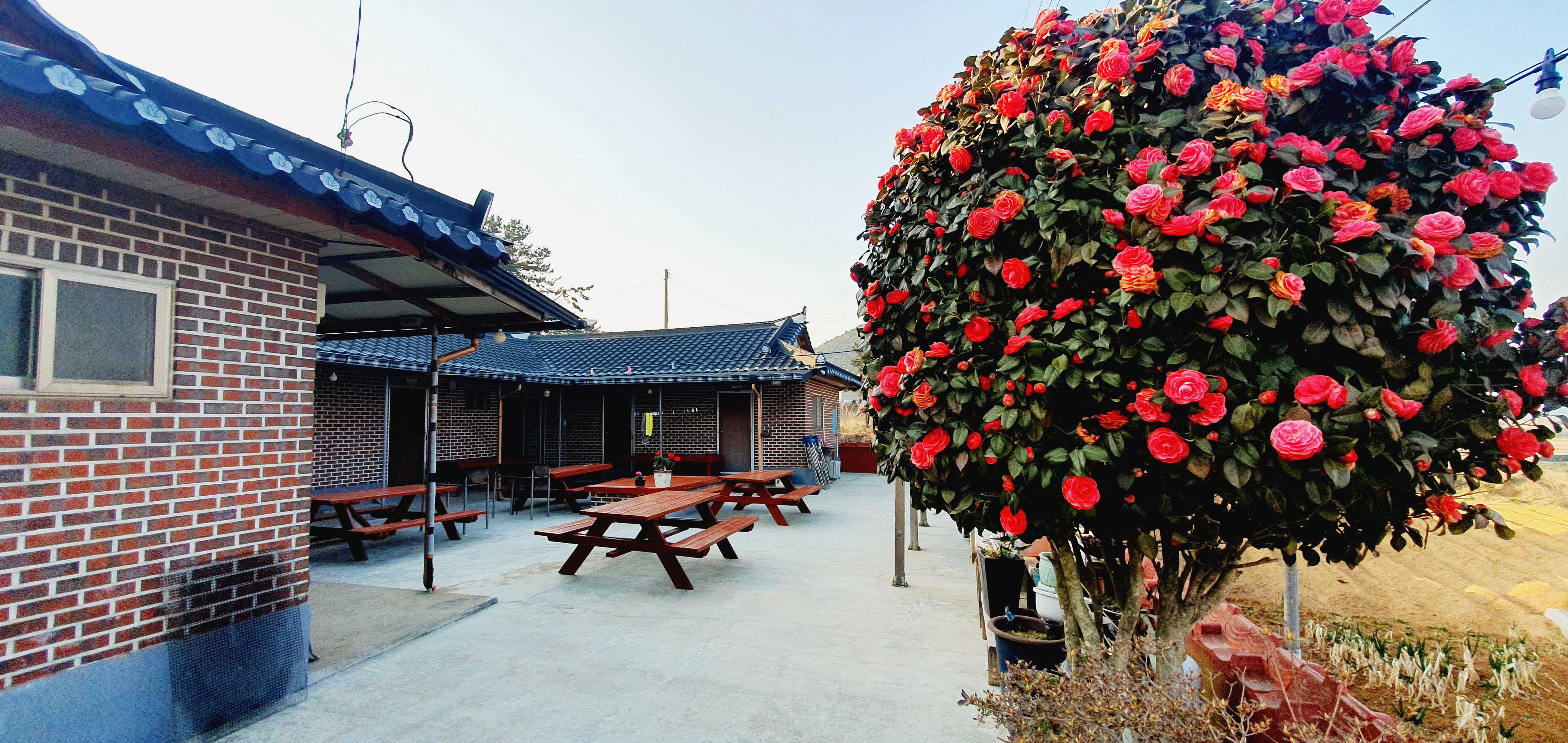 송림민박