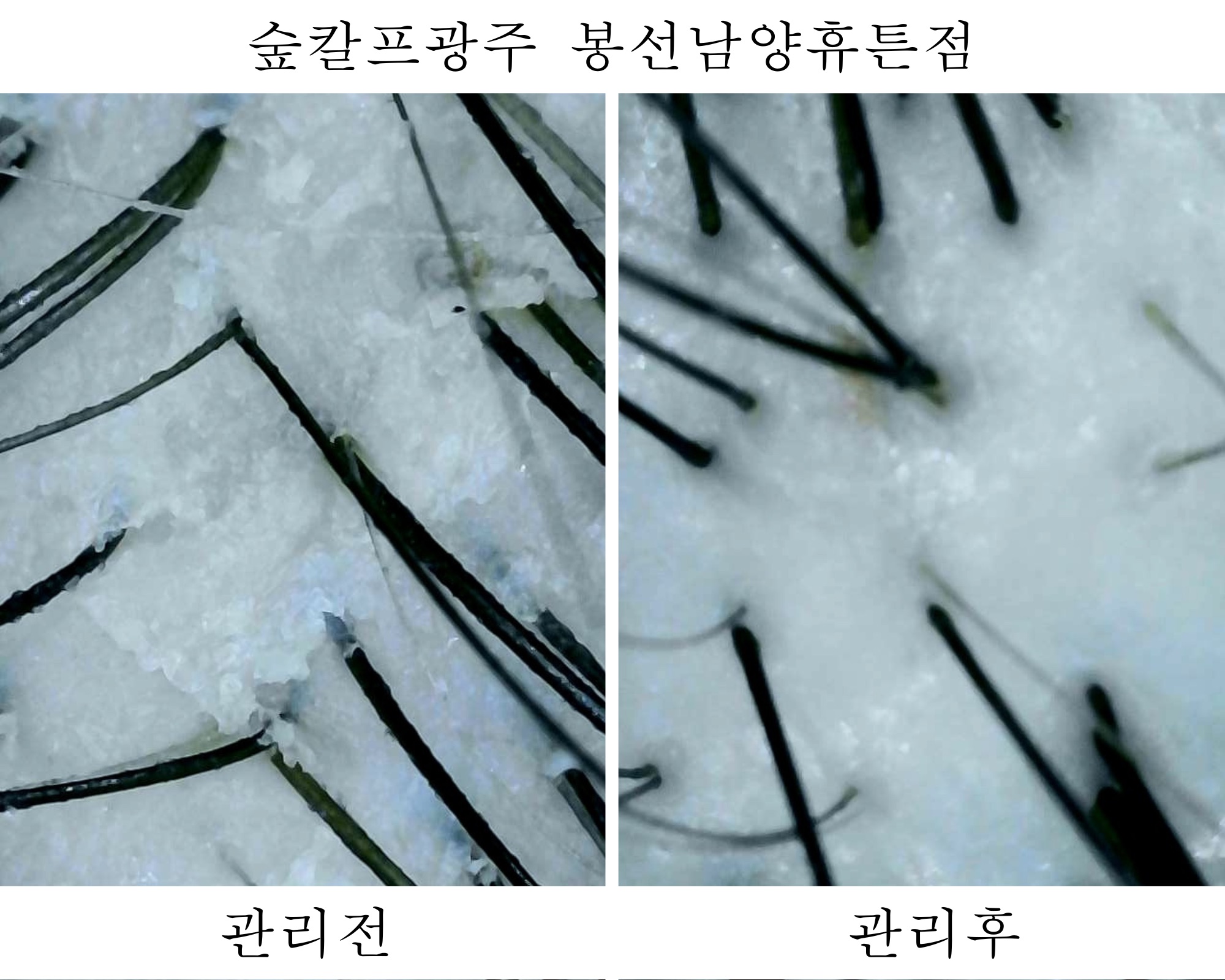 숲칼프 봉선 남양휴튼점 대표 이미지