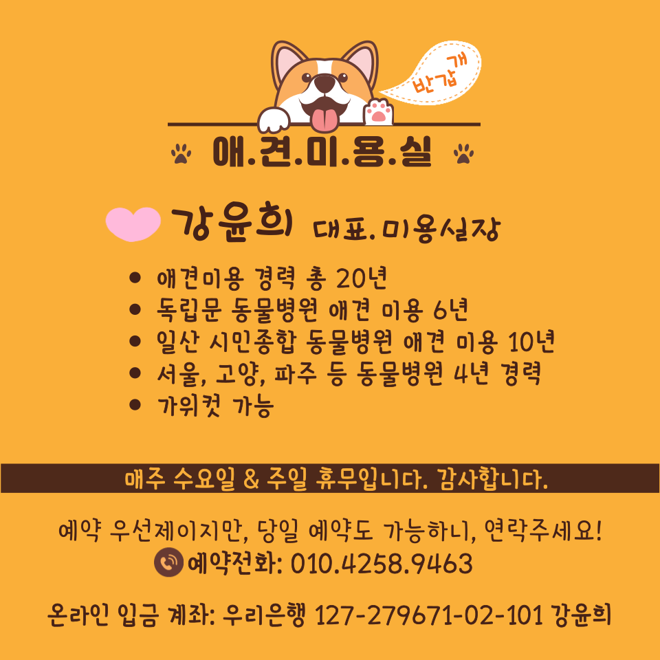 애견미용실 대표 이미지