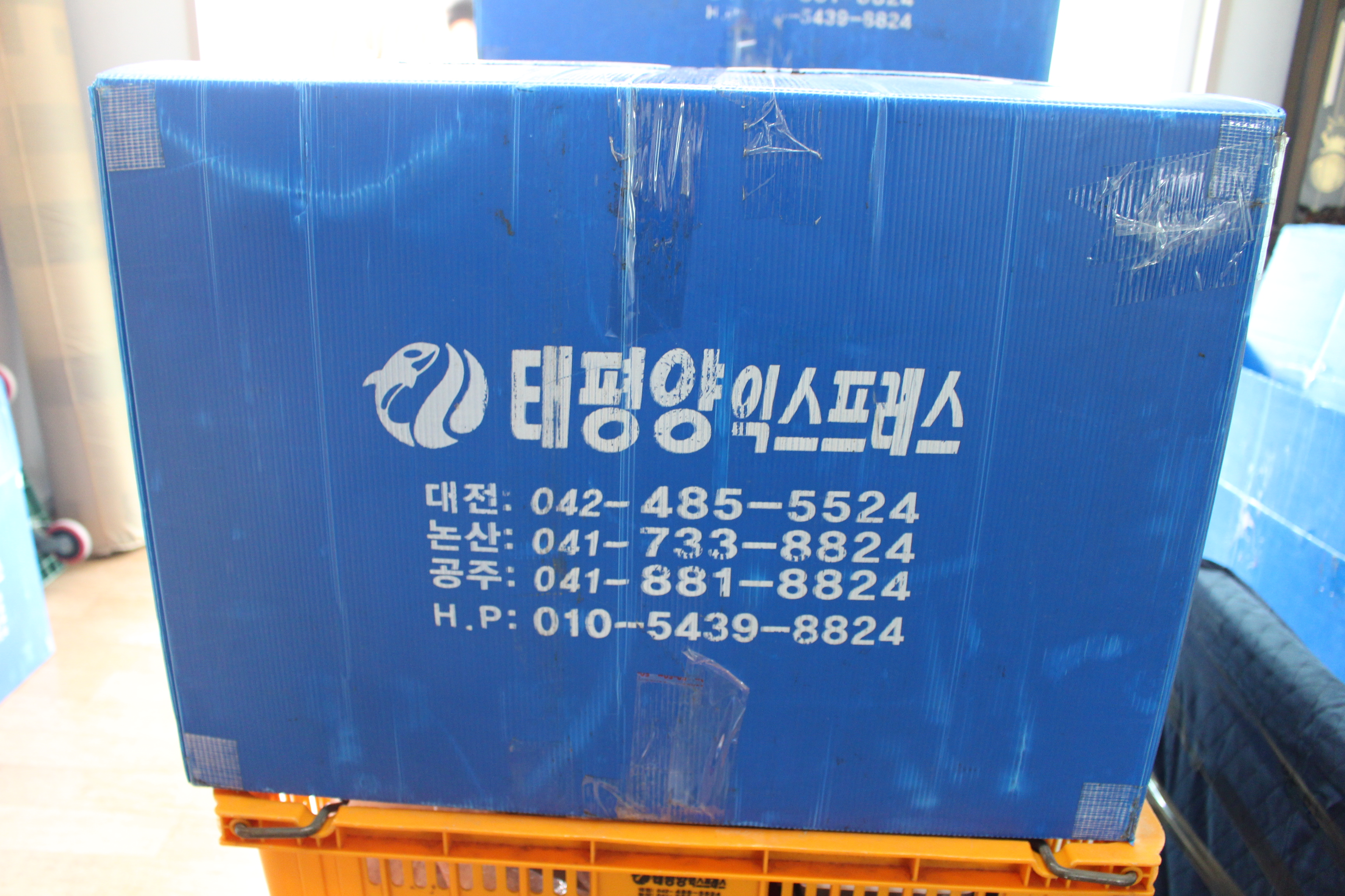 태평양익스프레스 대표 이미지