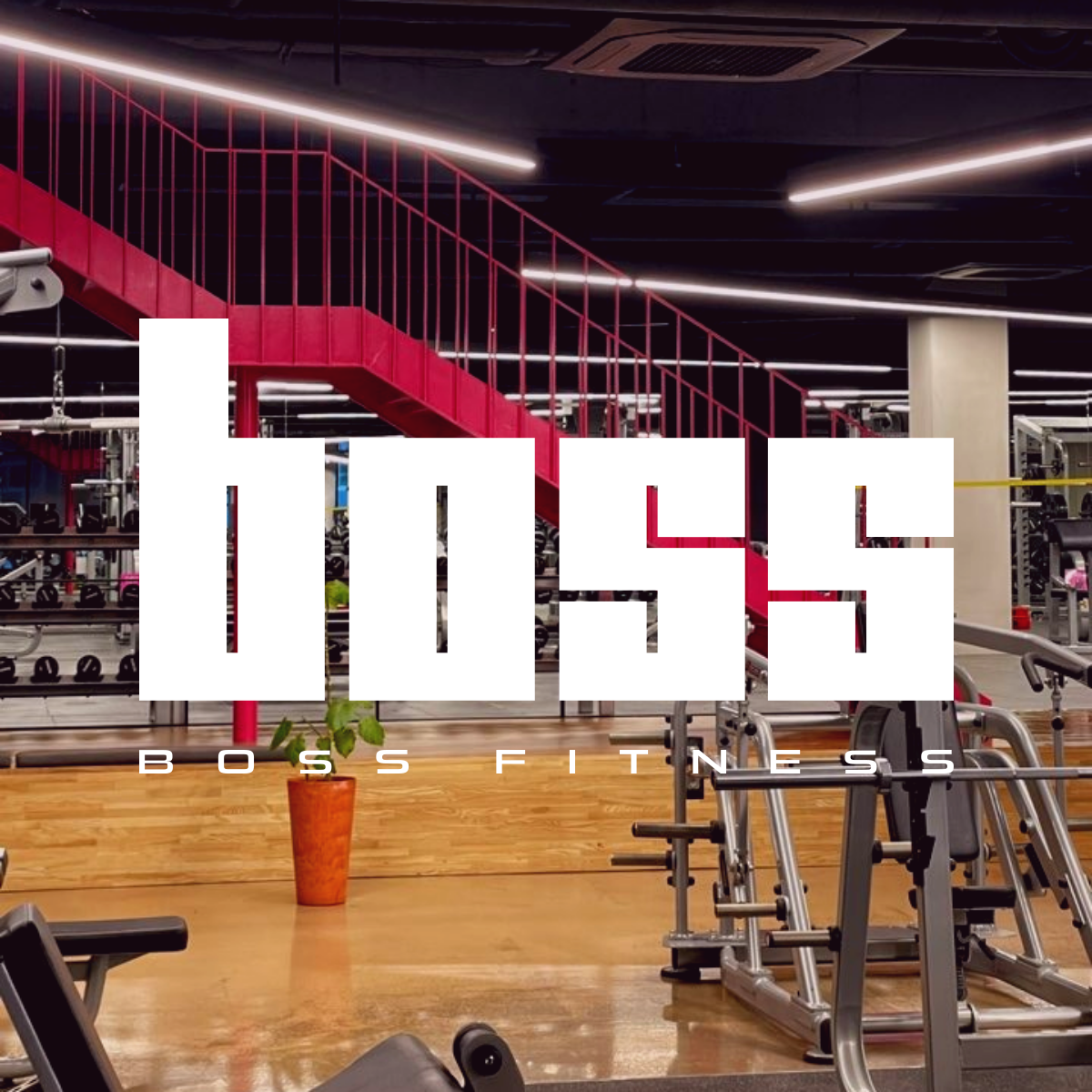 보스휘트니스