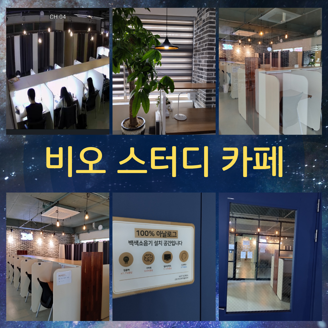 비오스터디까페
