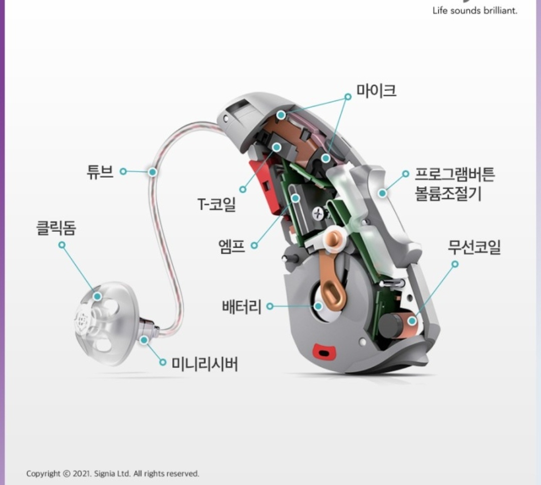 뉴톤보청기 안양지사
