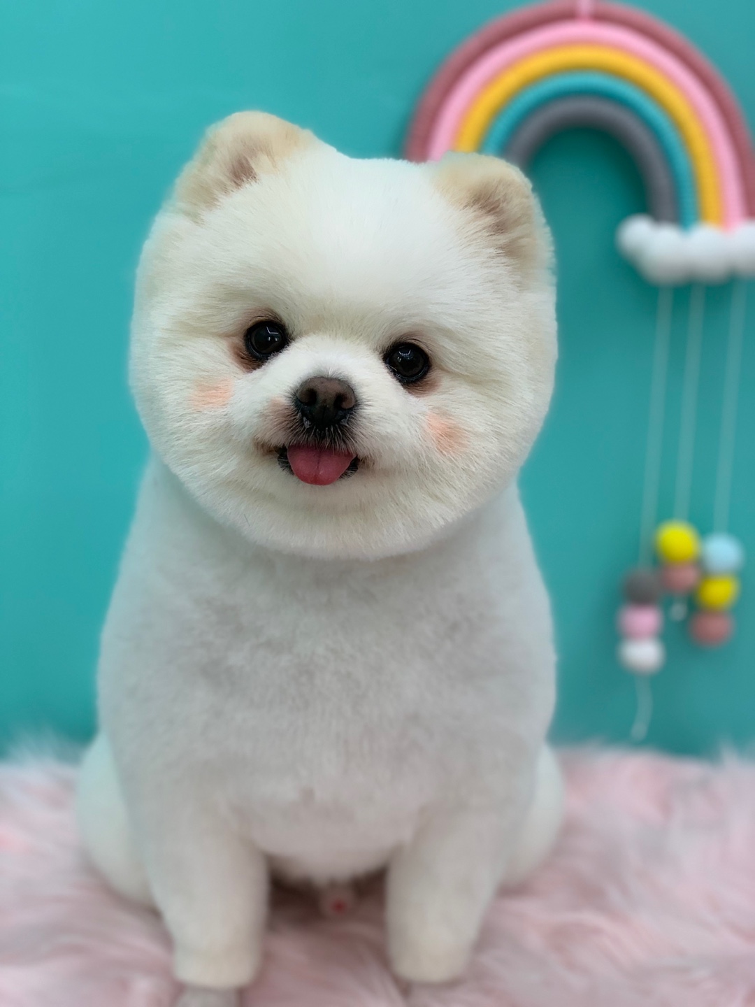 쏭트리밍 대표 이미지