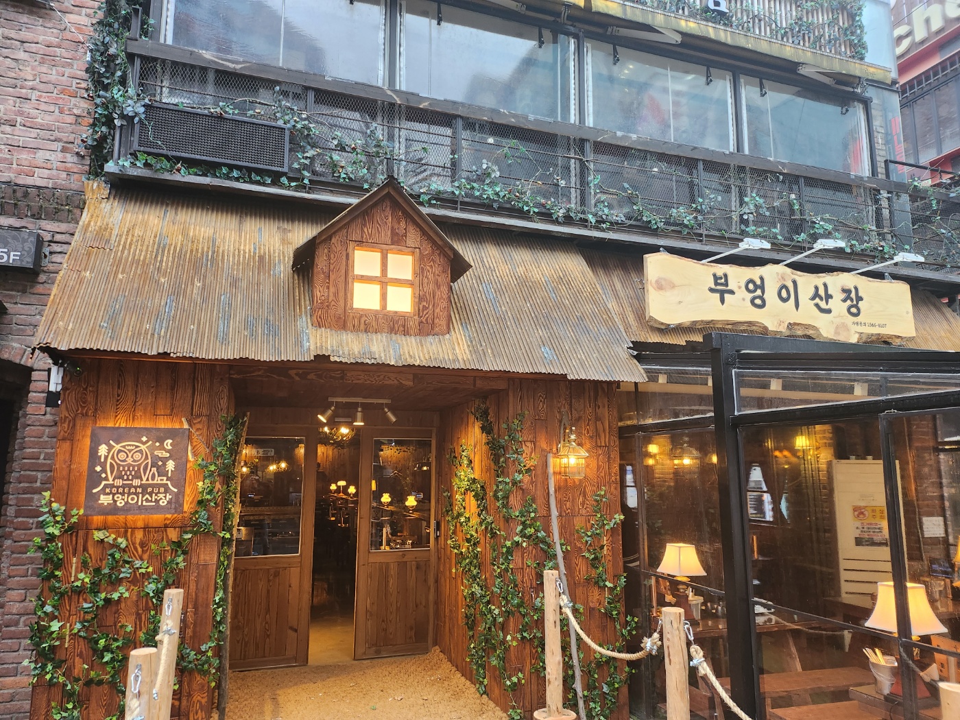 부엉이산장 강남지오다노점