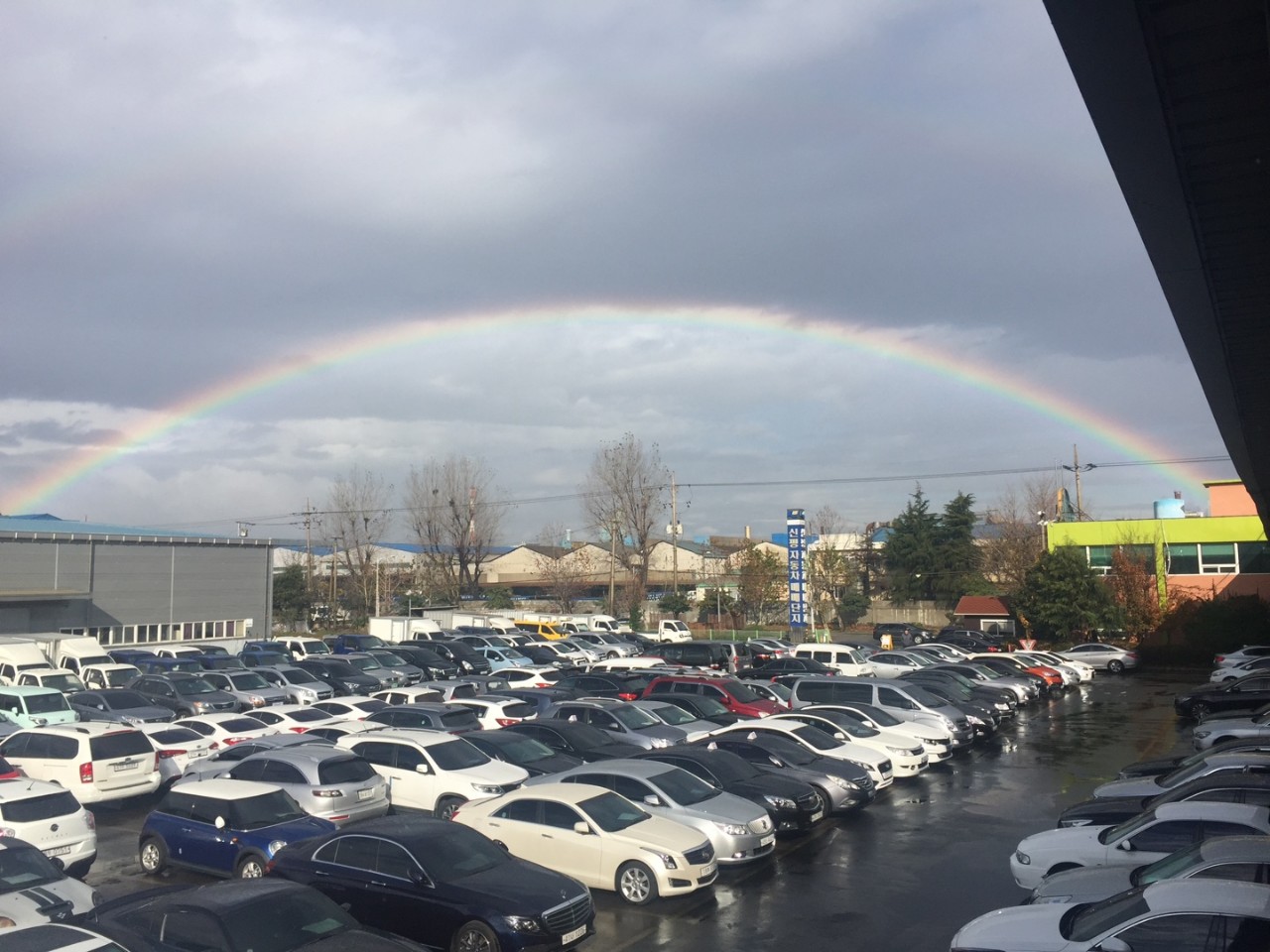 새신평자동차매매상사 대표 이미지