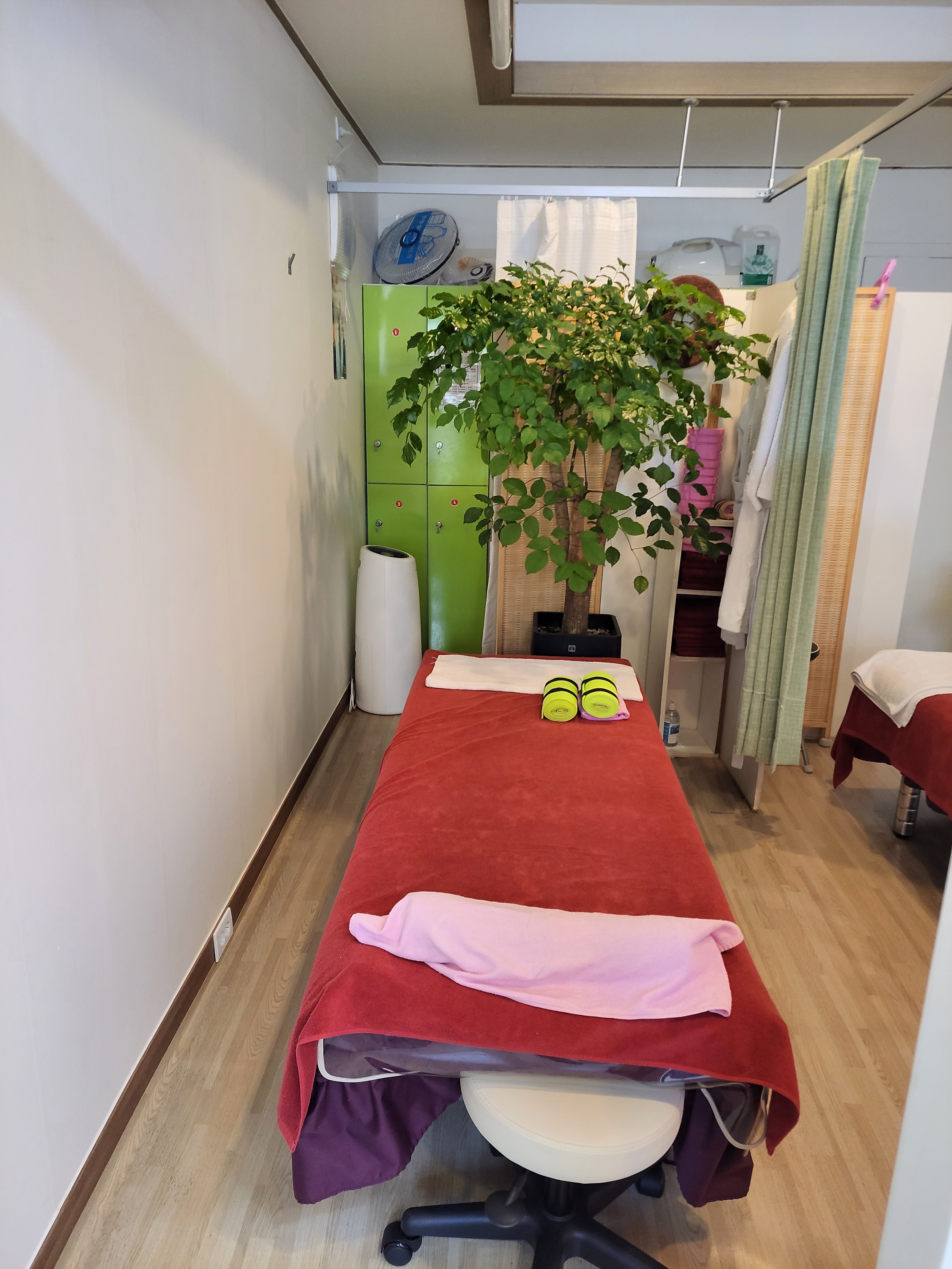 월드테라피 photo 6