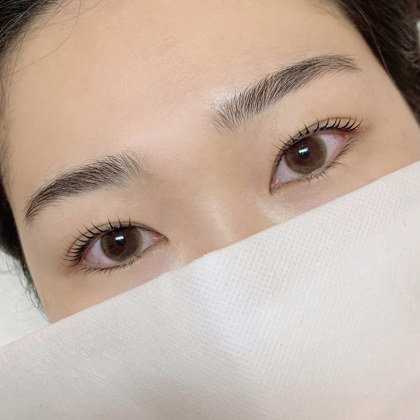 한올속눈썹