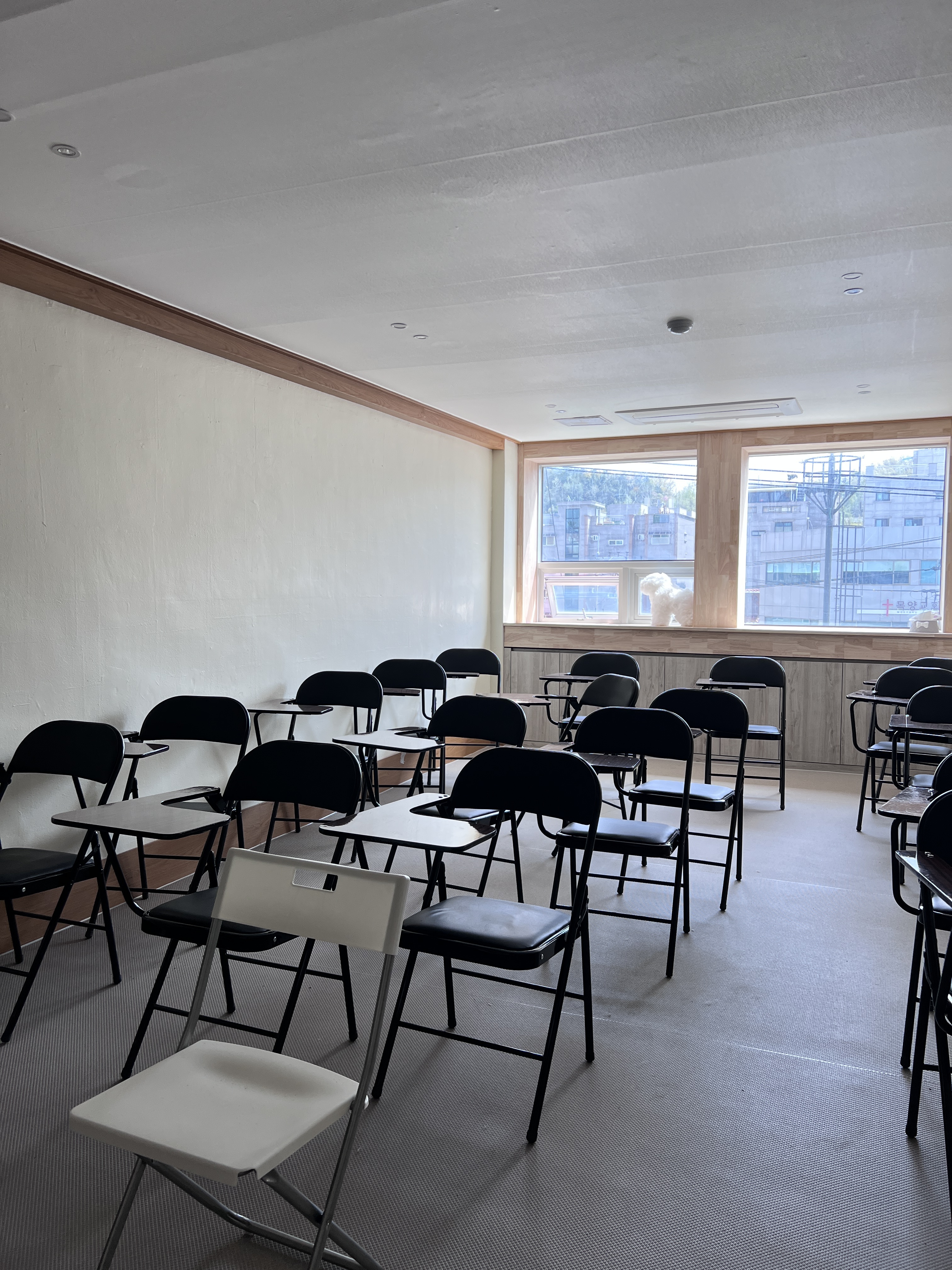 반려견 친화 애견미용실 어글리독 대표 이미지