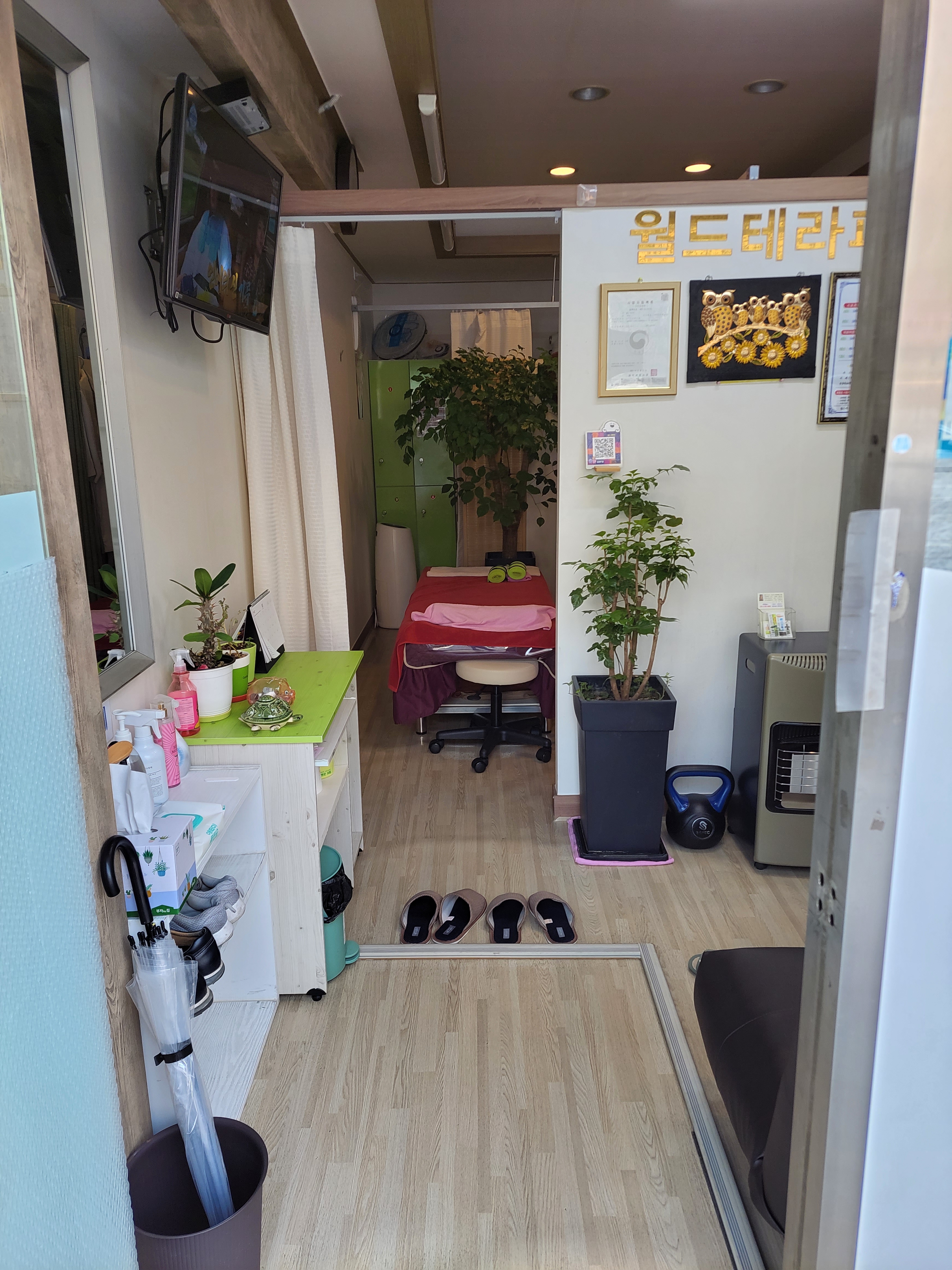 월드테라피 photo 8