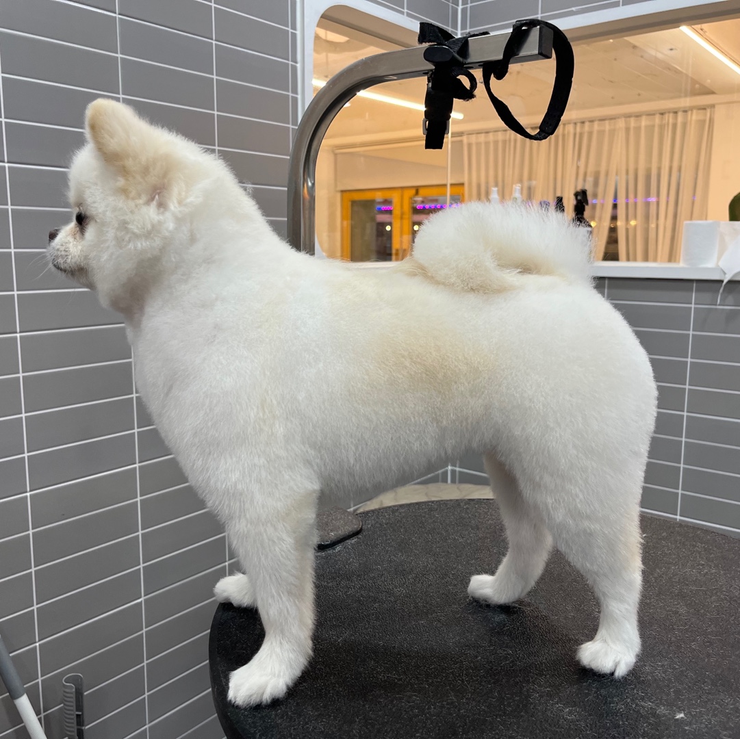 헤이멍 대표 이미지
