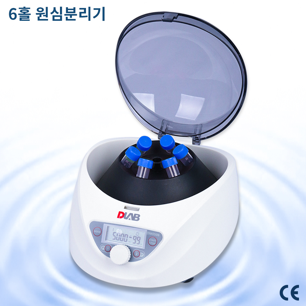 나스코코리아
