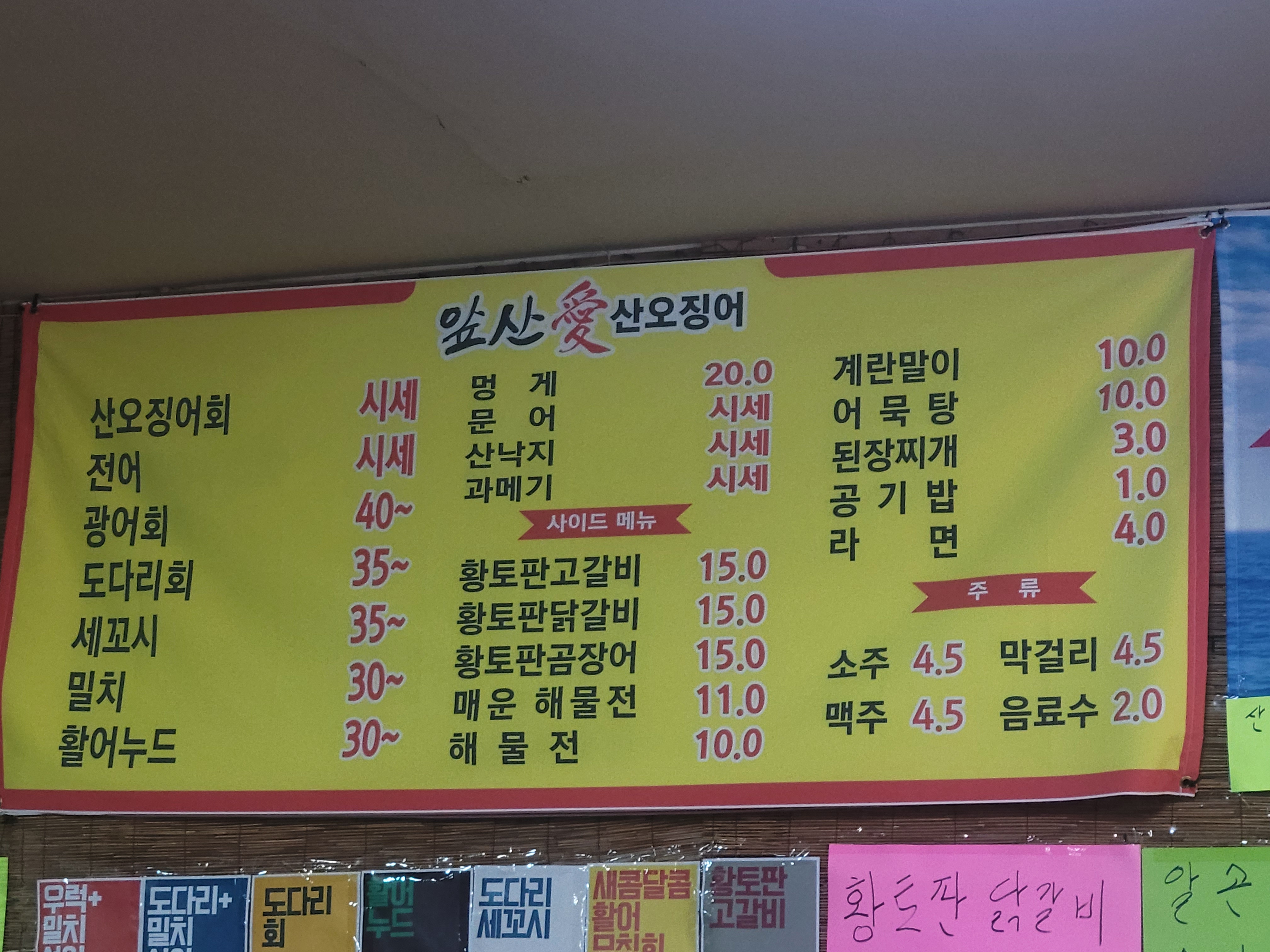앞산애 산오징어