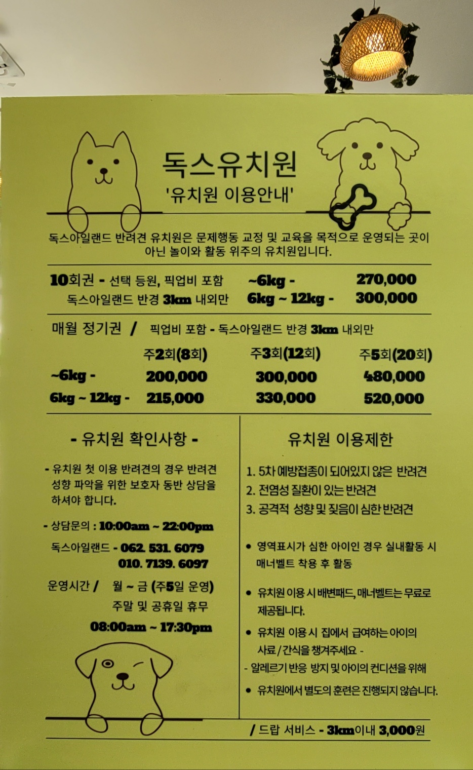 독스아일랜드 전라 애견카페