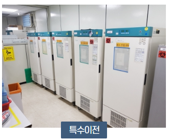 에이스이엔지코리아