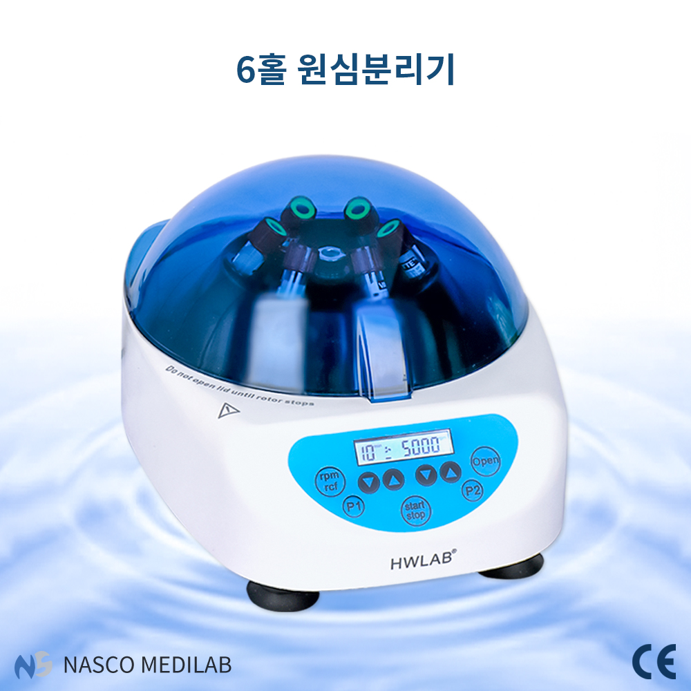 나스코코리아