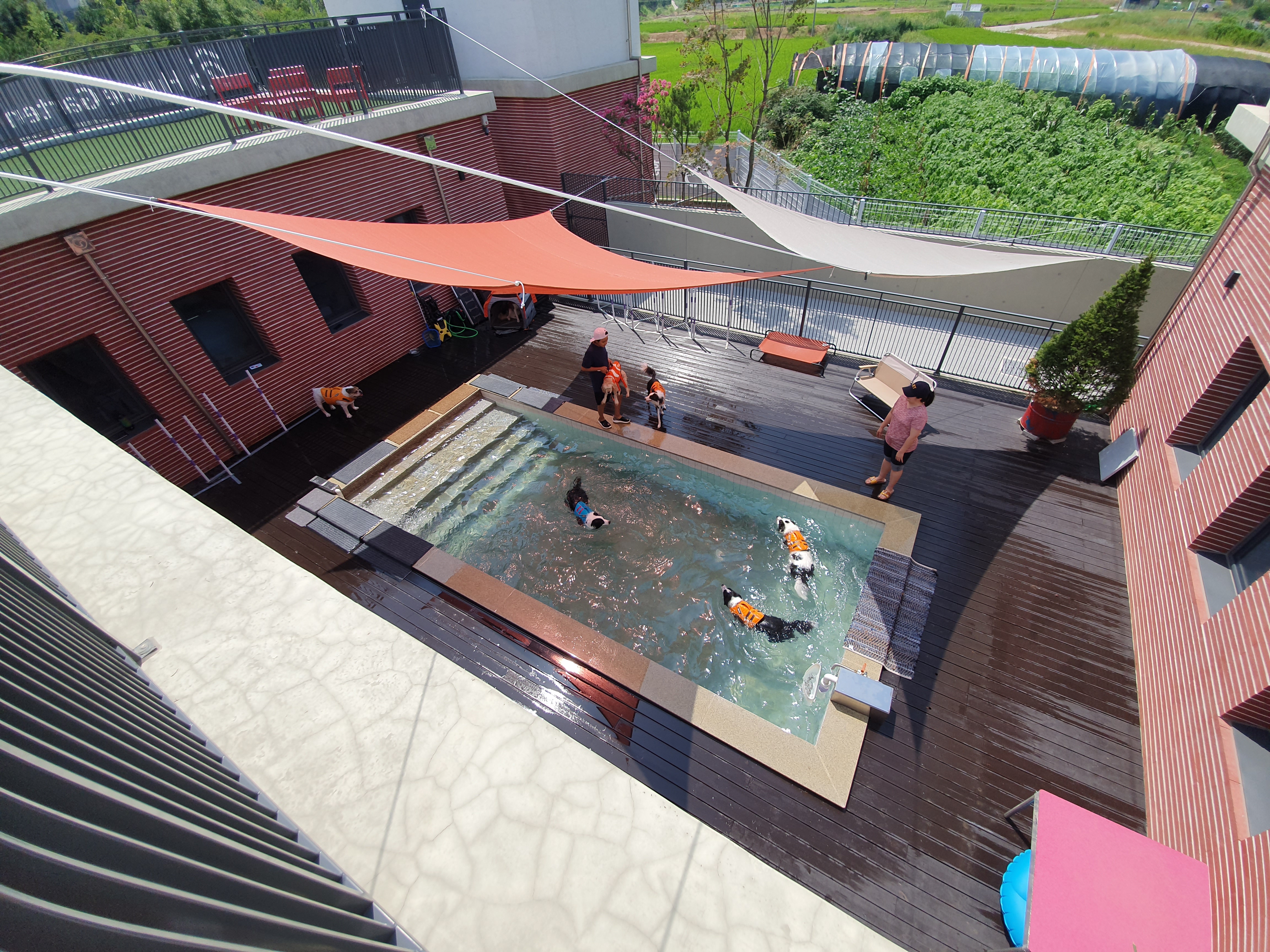 훈트가르텐 대표 이미지