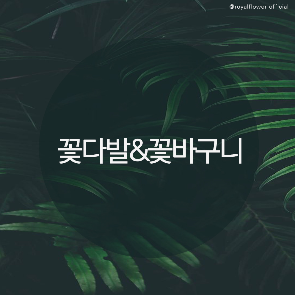 로얄플라워아트디자인학원