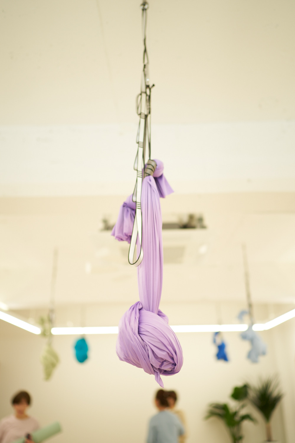 비라요가 대표 이미지