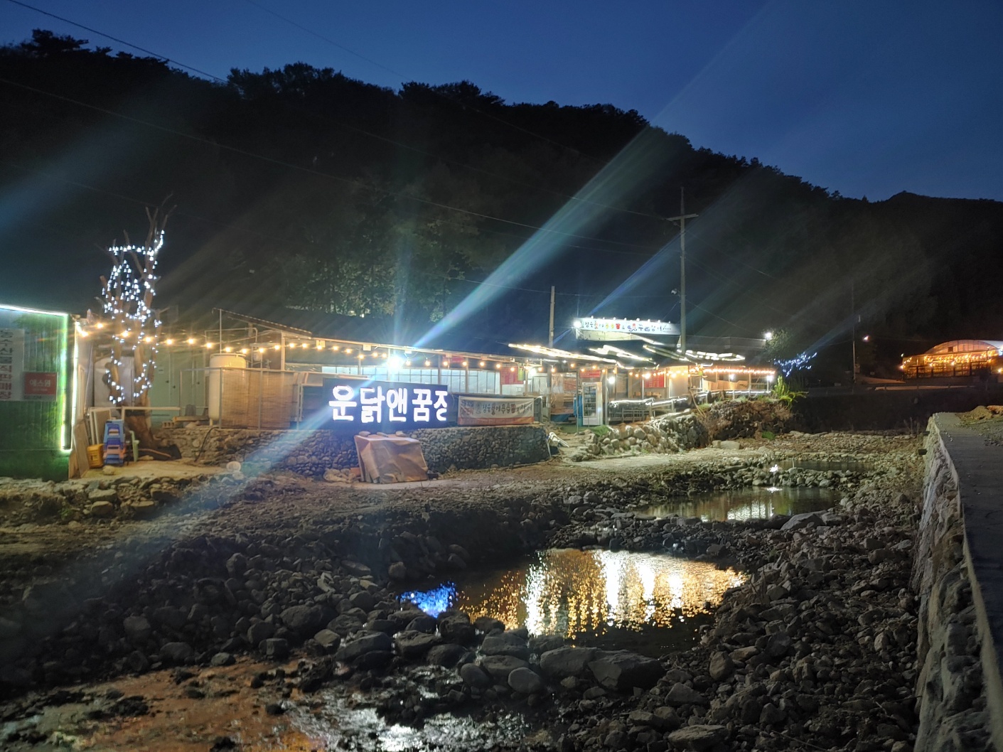 참숯불에꾸운닭앤꿈장어