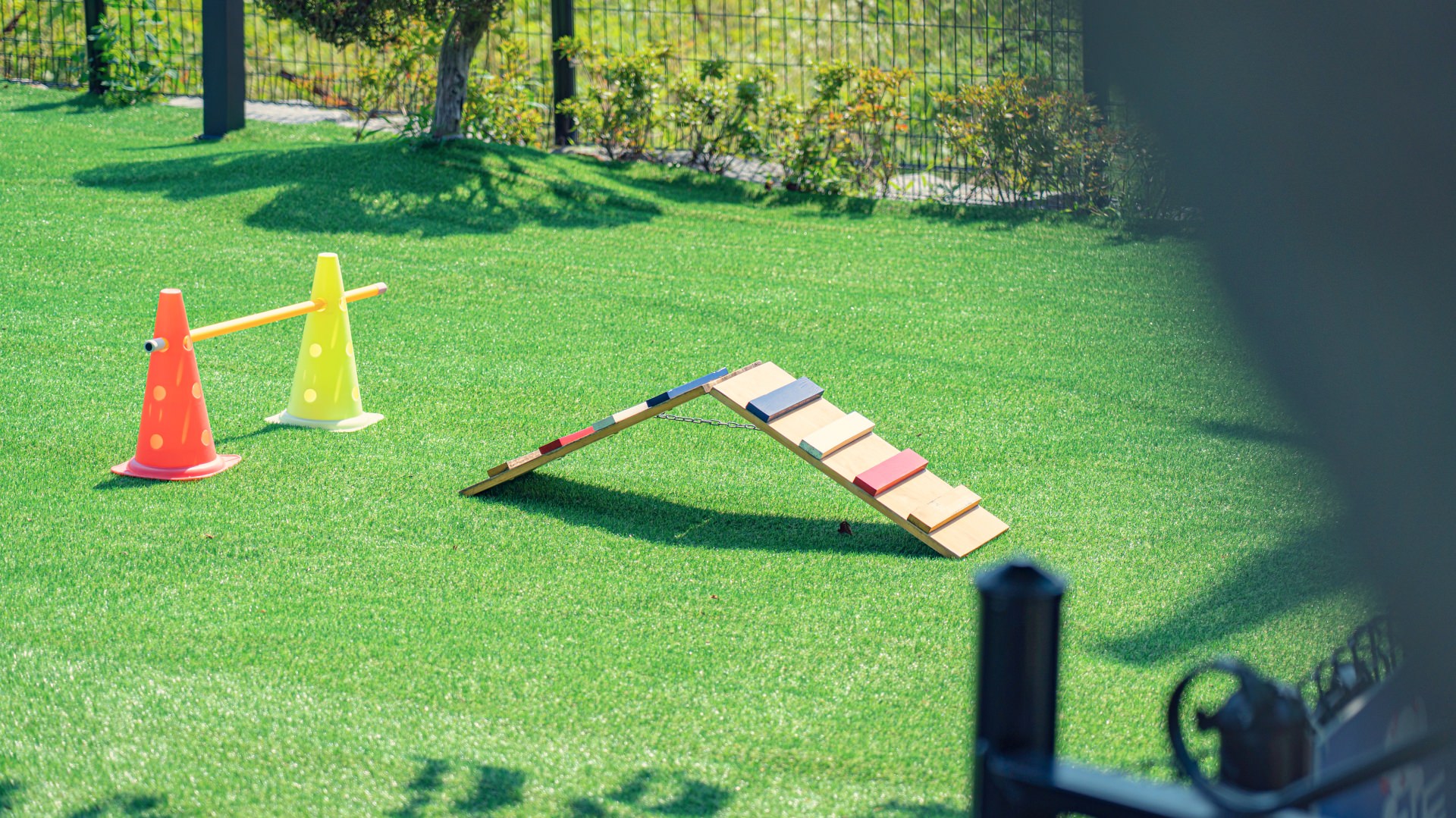 안면애견펜션프리독 대표 이미지