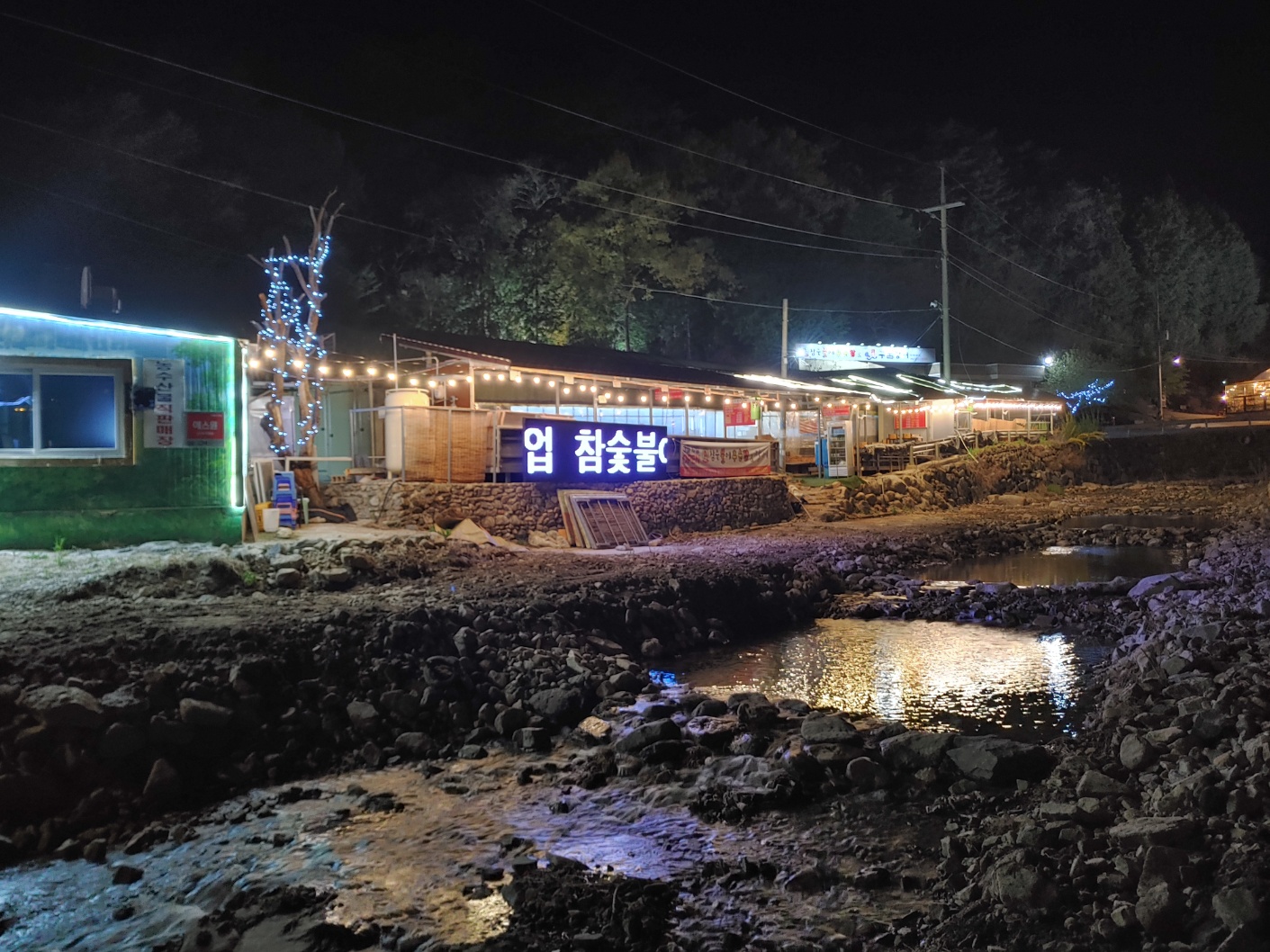 참숯불에꾸운닭앤꿈장어