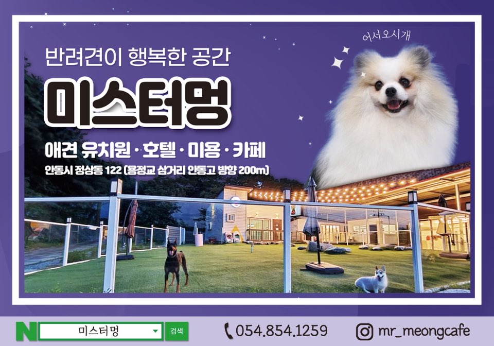 미스터멍 경상 애견카페