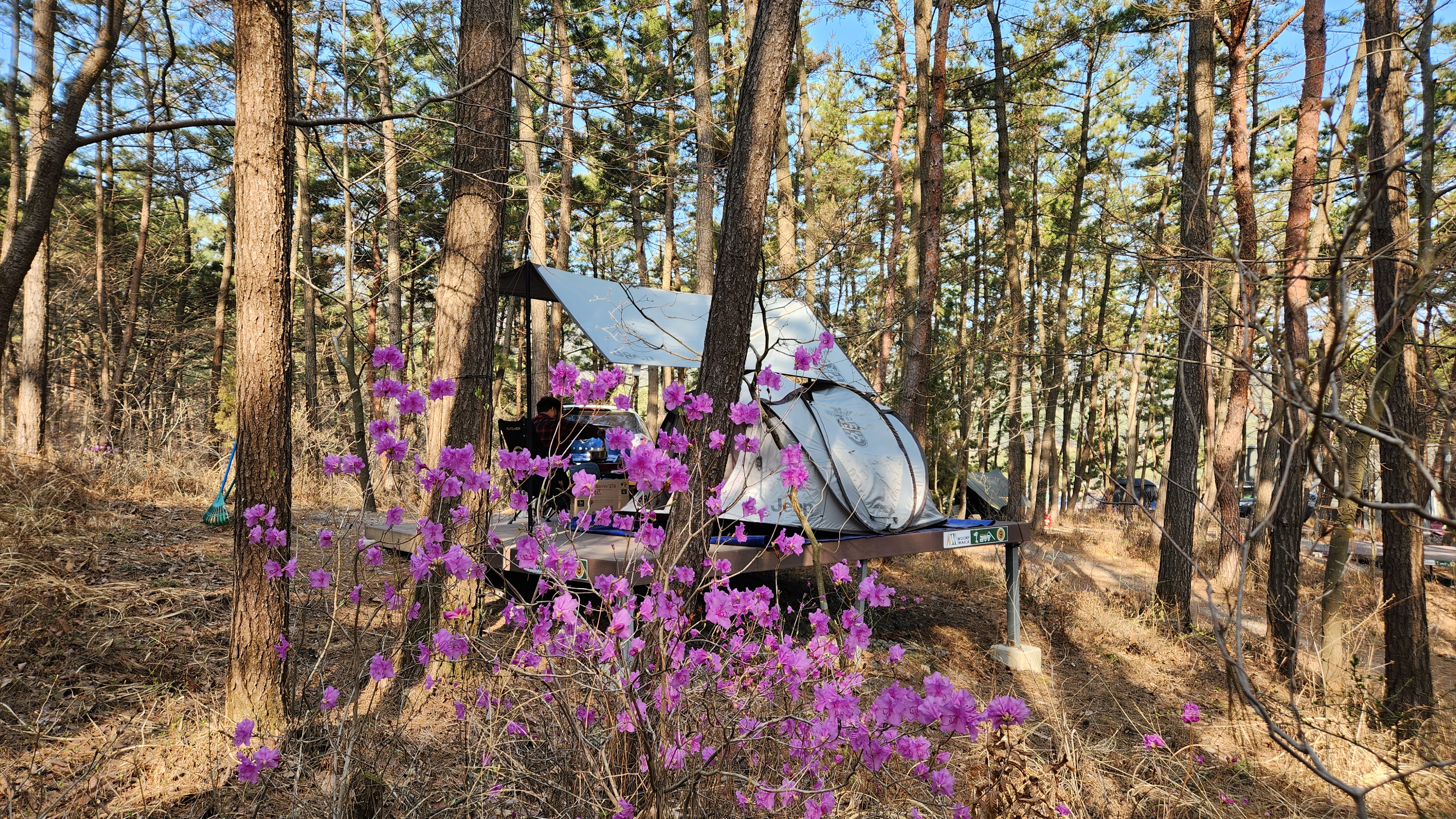캠핑장 사진