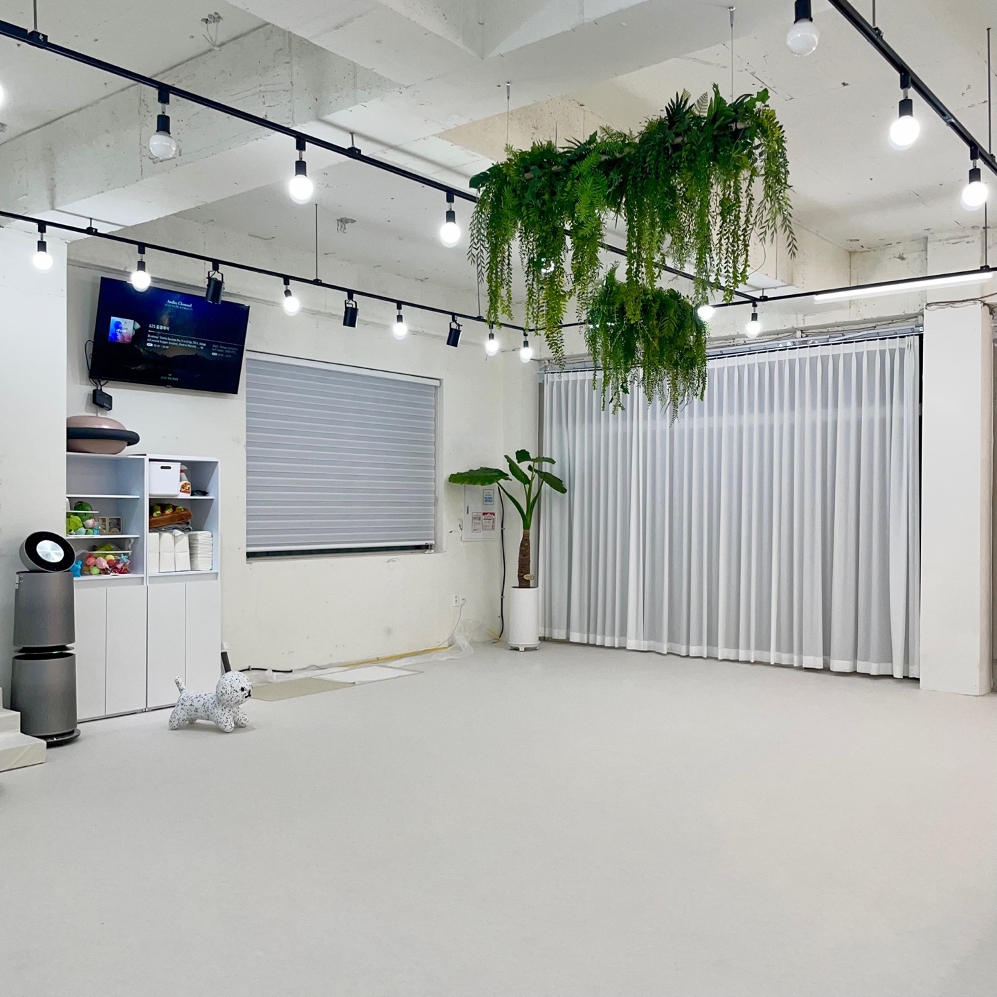 숲멍 애견유치원&호텔 대표 이미지