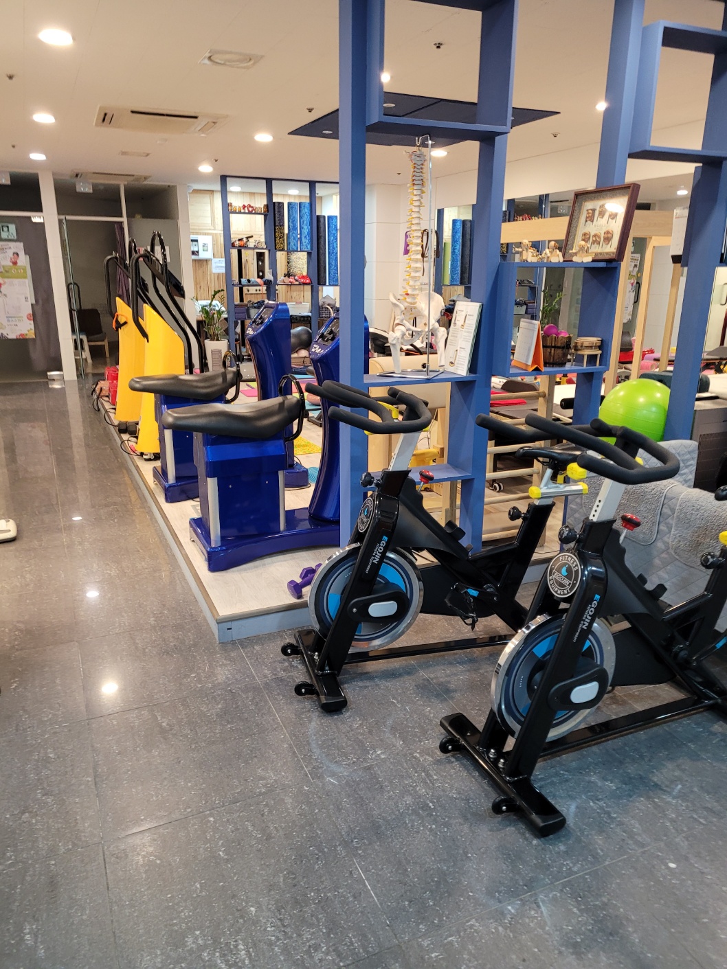 바디셰이핑운동센터 대표 이미지