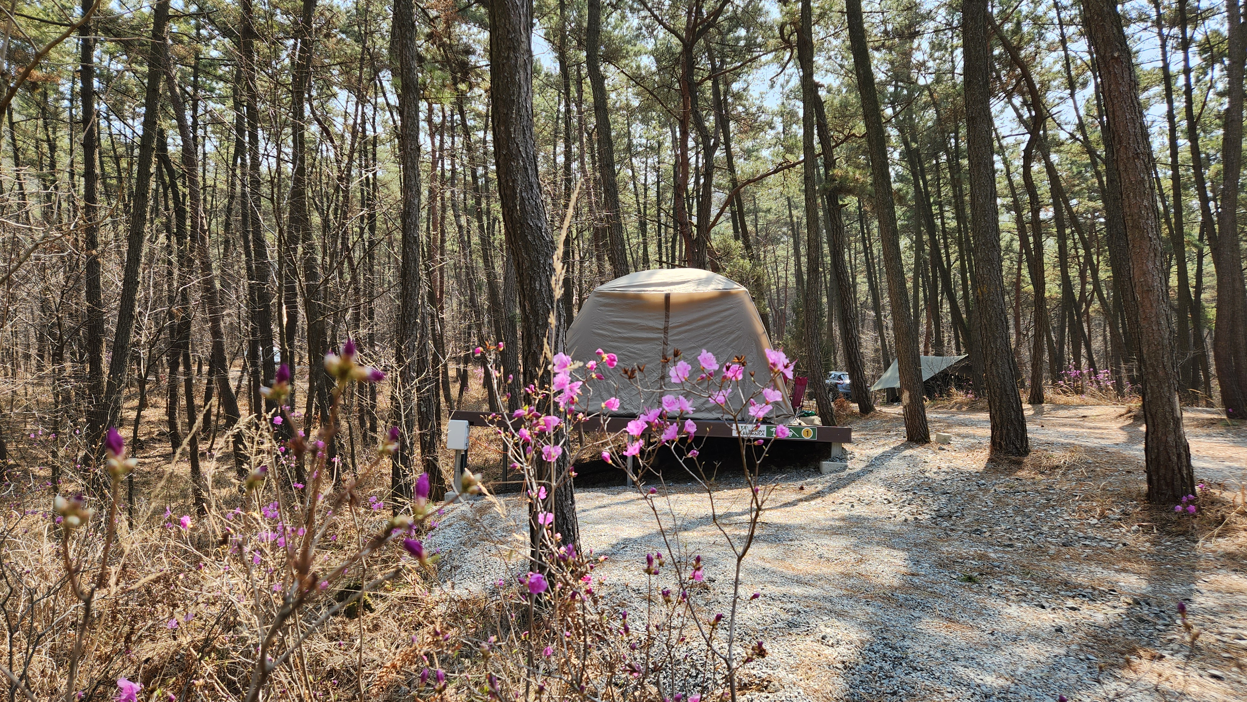 캠핑장 사진