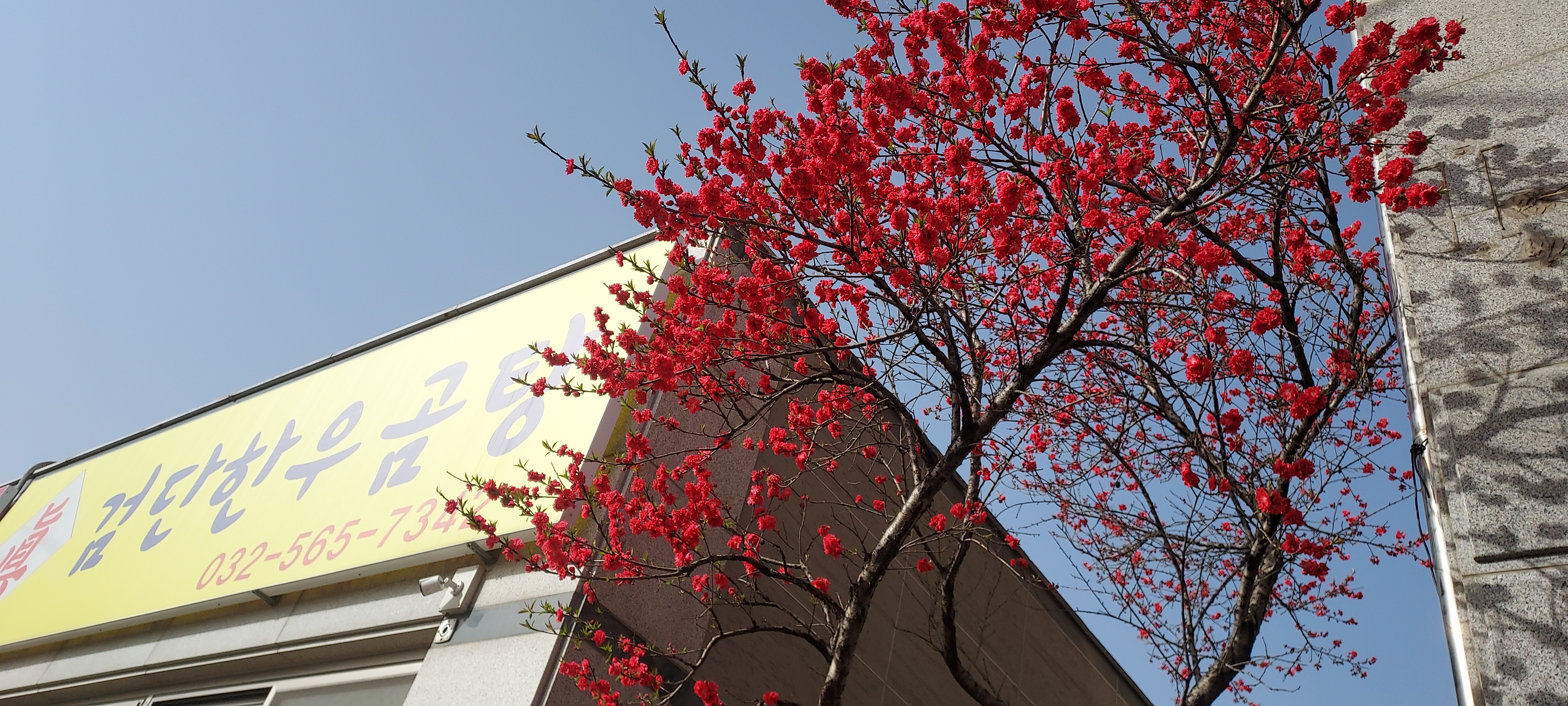 진검단한우곰탕