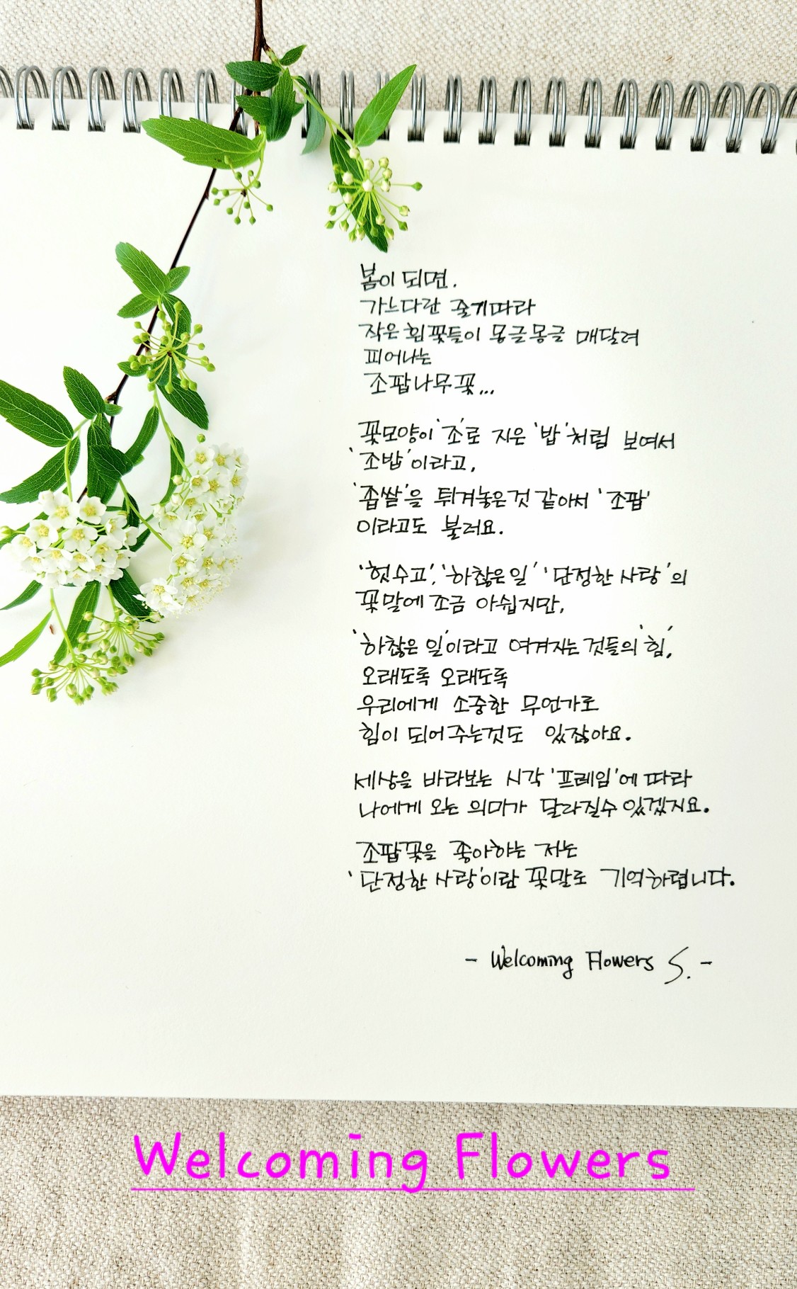Welcoming Flowers