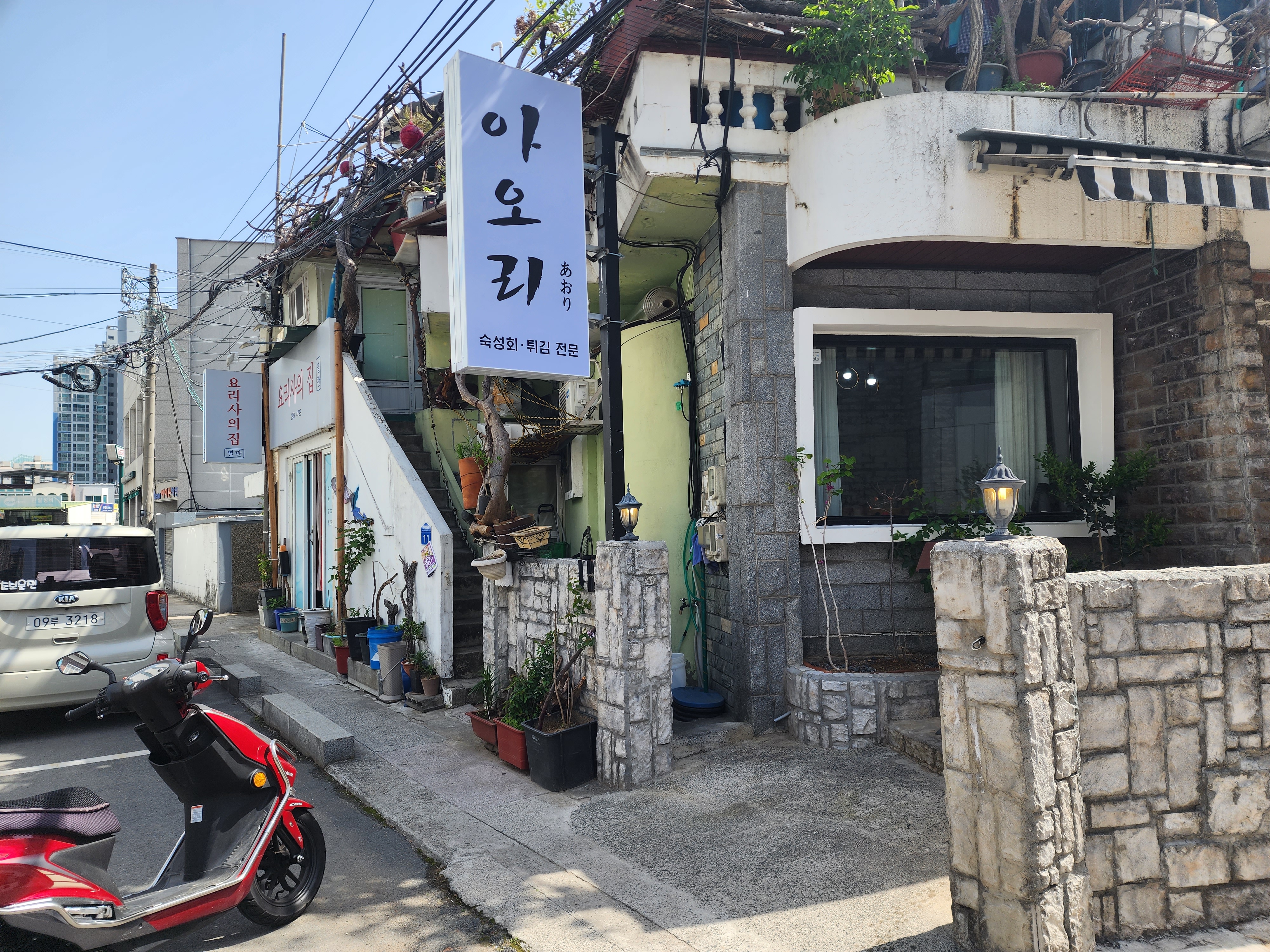 아오리
