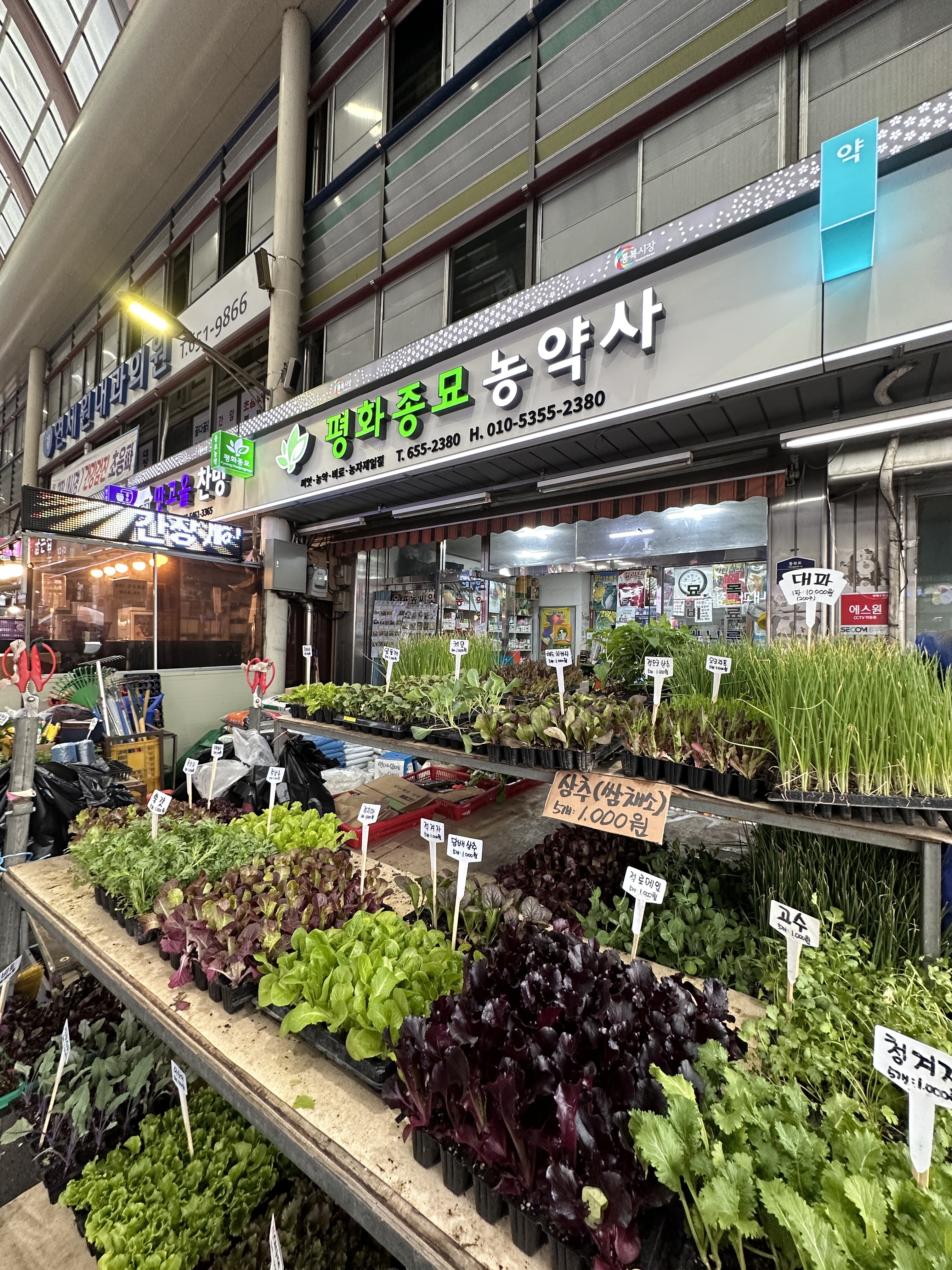 평화종묘사