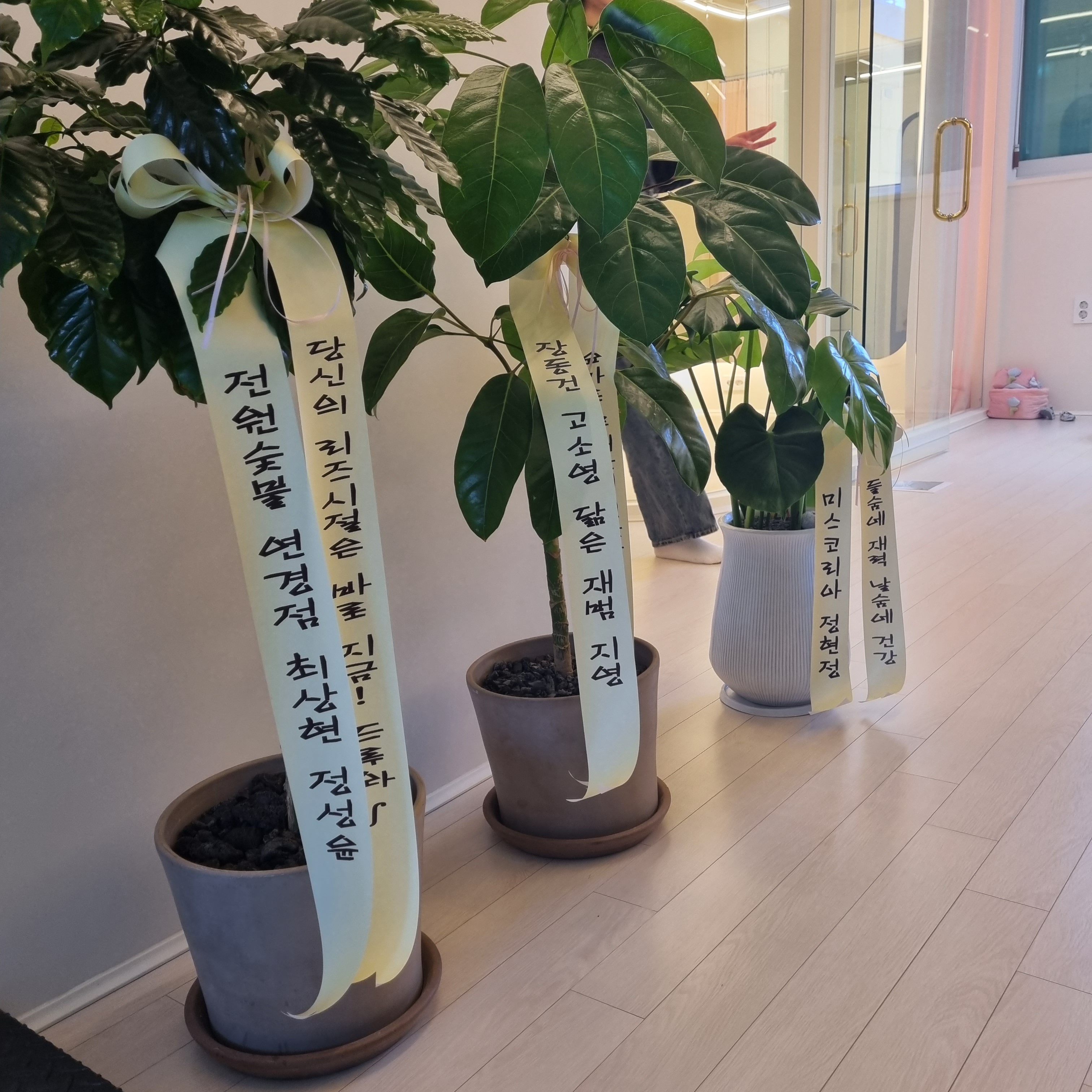 정홍숙메디월요가필라테스 대표 이미지